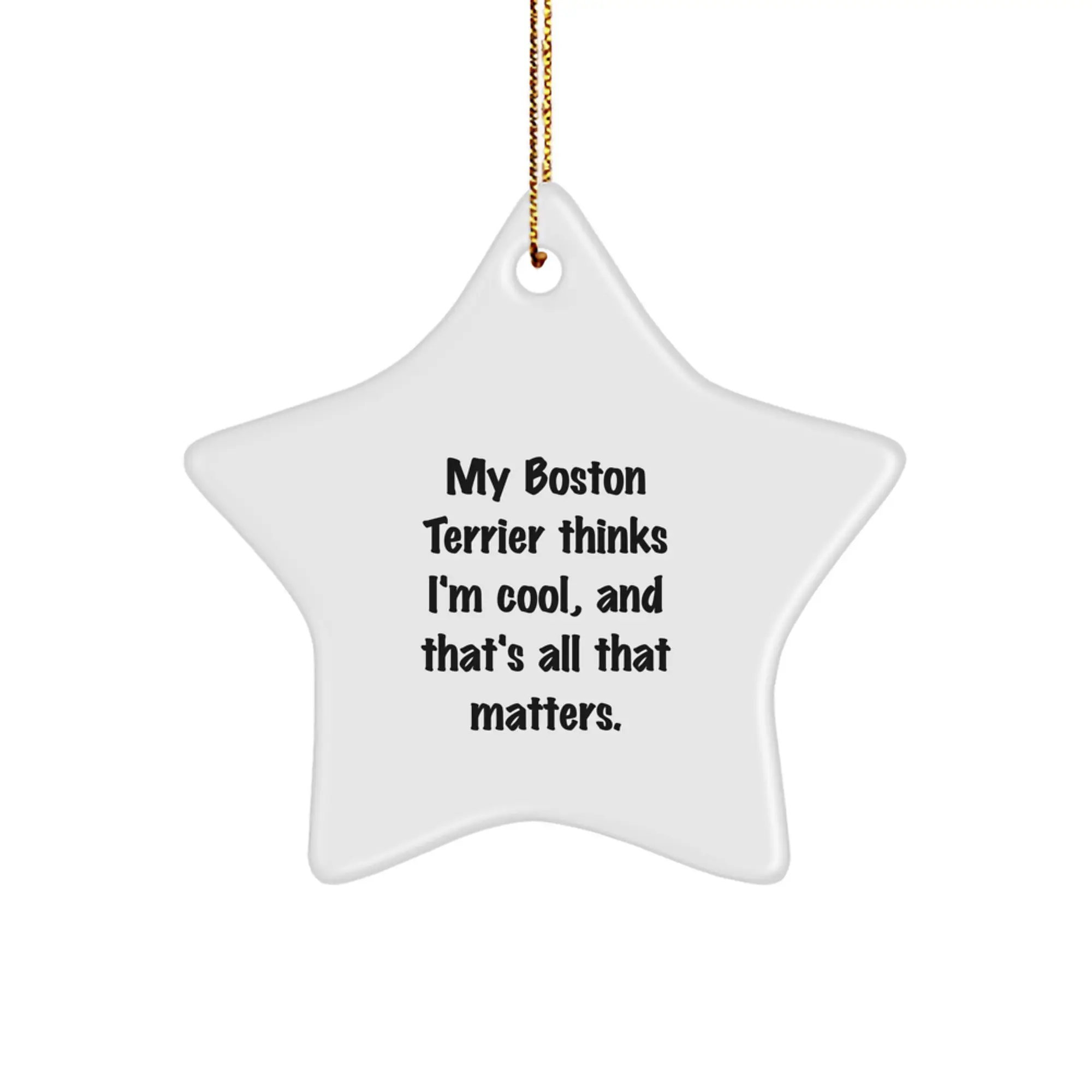 Funny Boston Terrier Dog Star Ornament Gifts from Family Members for Christmas Unique Presents - Image 1