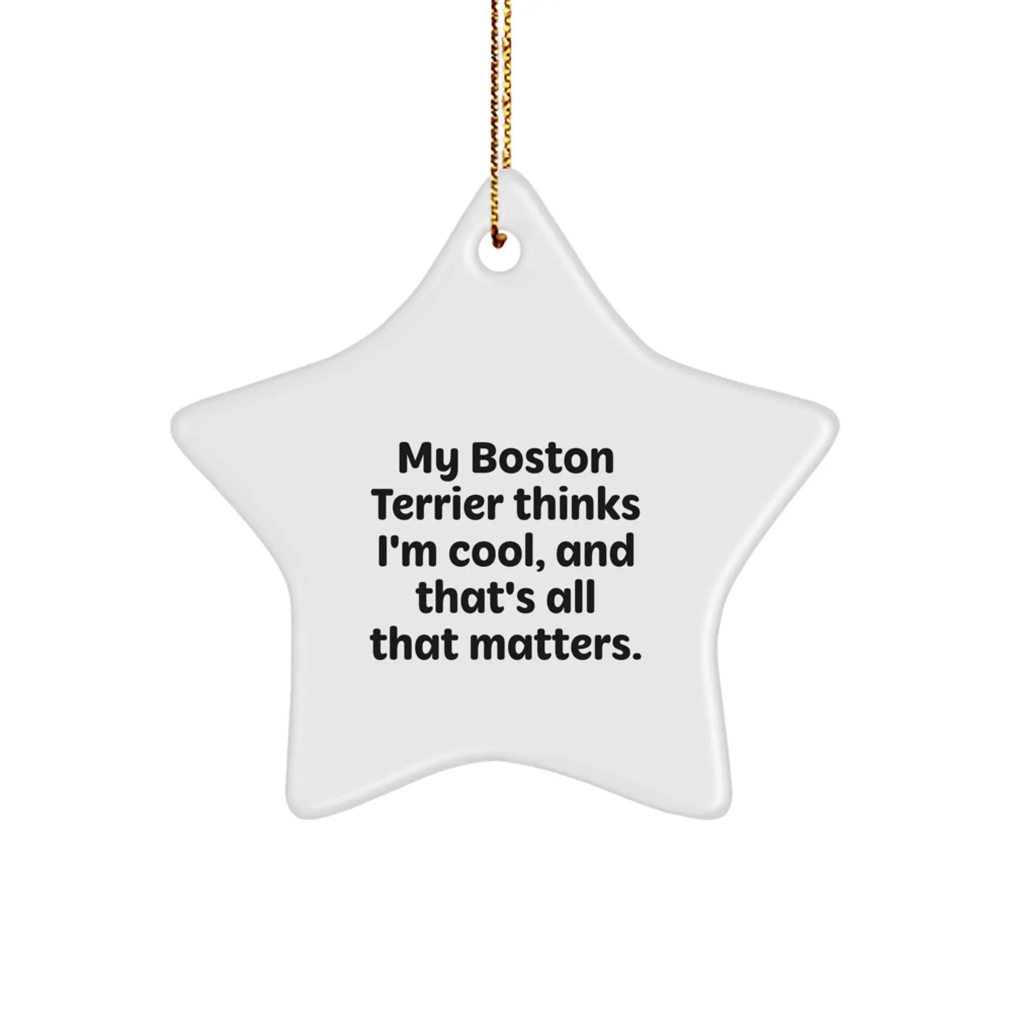 Funny Boston Terrier Dog Star Ornament Gifts from Family to Friends for Christmas - Image 1
