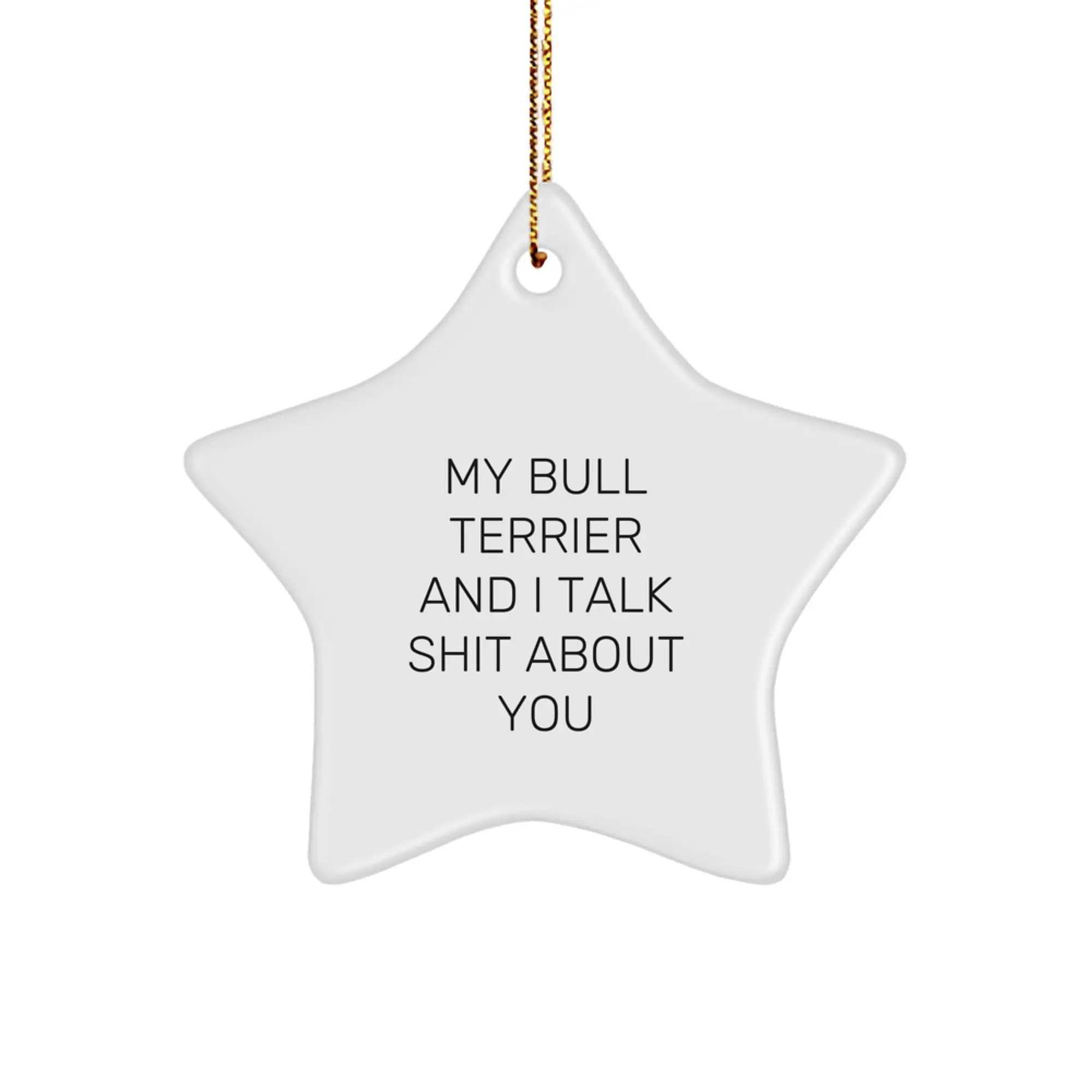 Funny Bull Terrier Dog Gifts for Friends from Men, Unique Christmas Unique Star Ornaments with Quotes for Bull Terrier Dog Lovers - Image 1