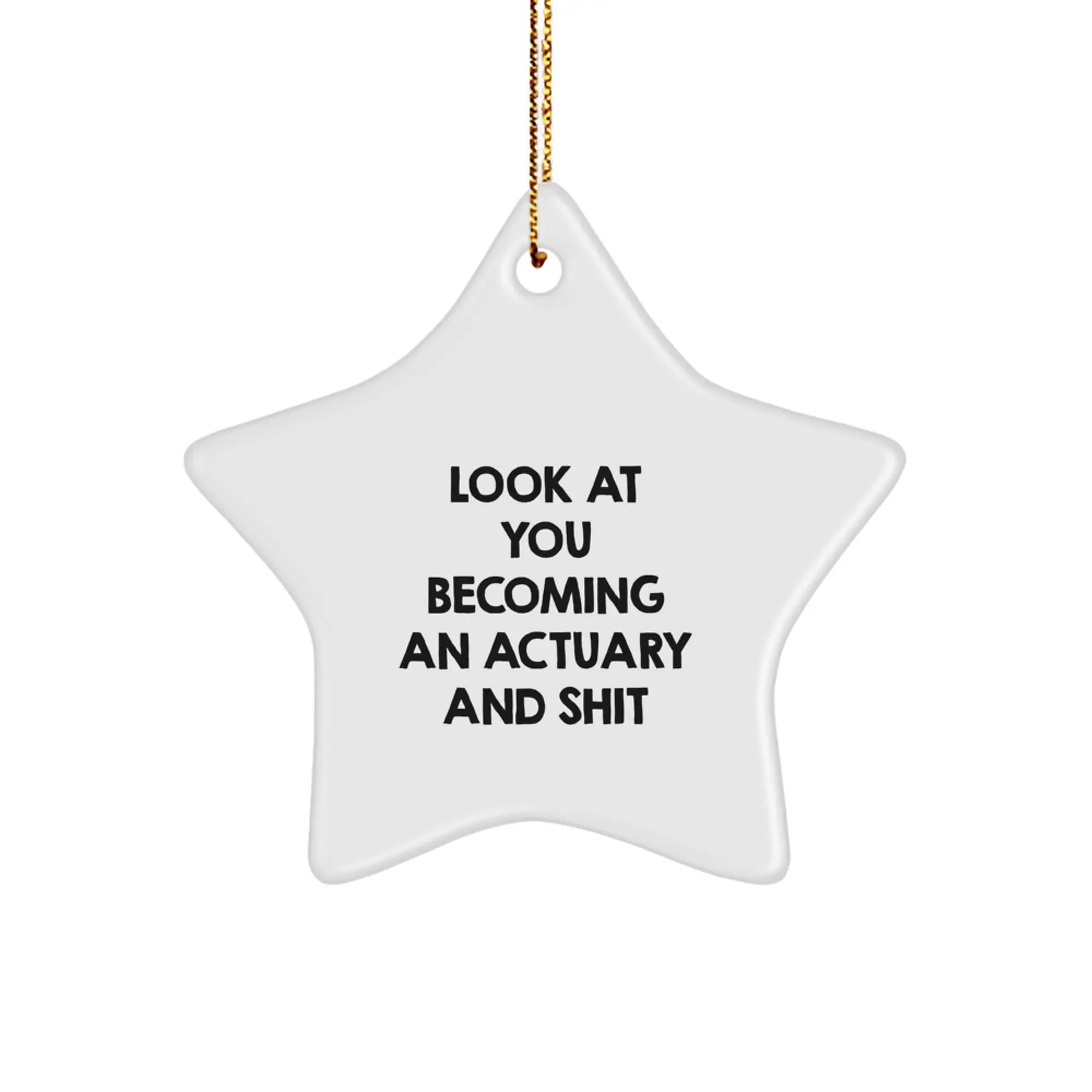 Witty Actuary Star Ornament for Roommates Memento Christmas Gift - Image 1