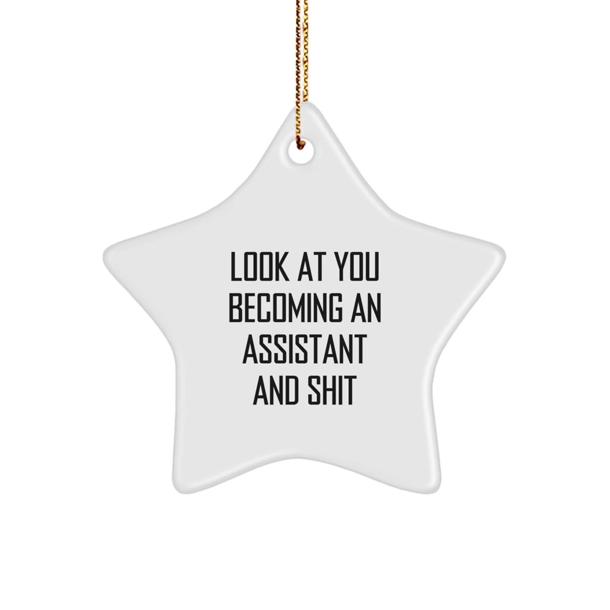 Funny Assistant Star Ornament Gifts from Family, Friends, or Coworkers to Assistant, Men, Women, or Kids at Christmas - Image 1