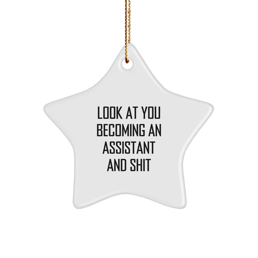 Funny Assistant Star Ornament Gifts from Family, Friends, or Coworkers to Assistant, Men, Women, or Kids at Christmas - Image 1