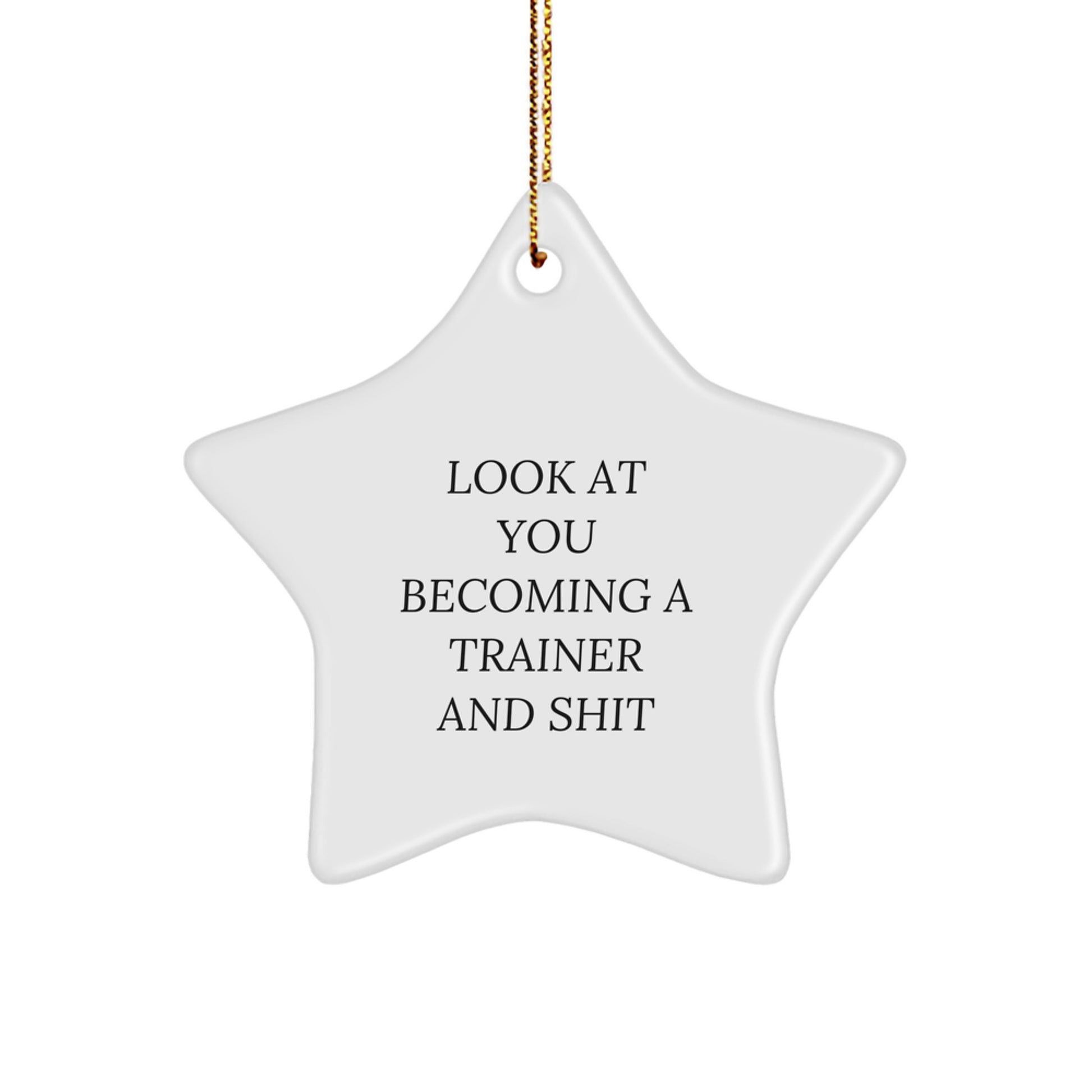Funny Trainer Gifts from Friends for Christmas - Star Ornament with Quote 'Look At You Becoming A Trainer And Shit' for Men or Women - Image 1
