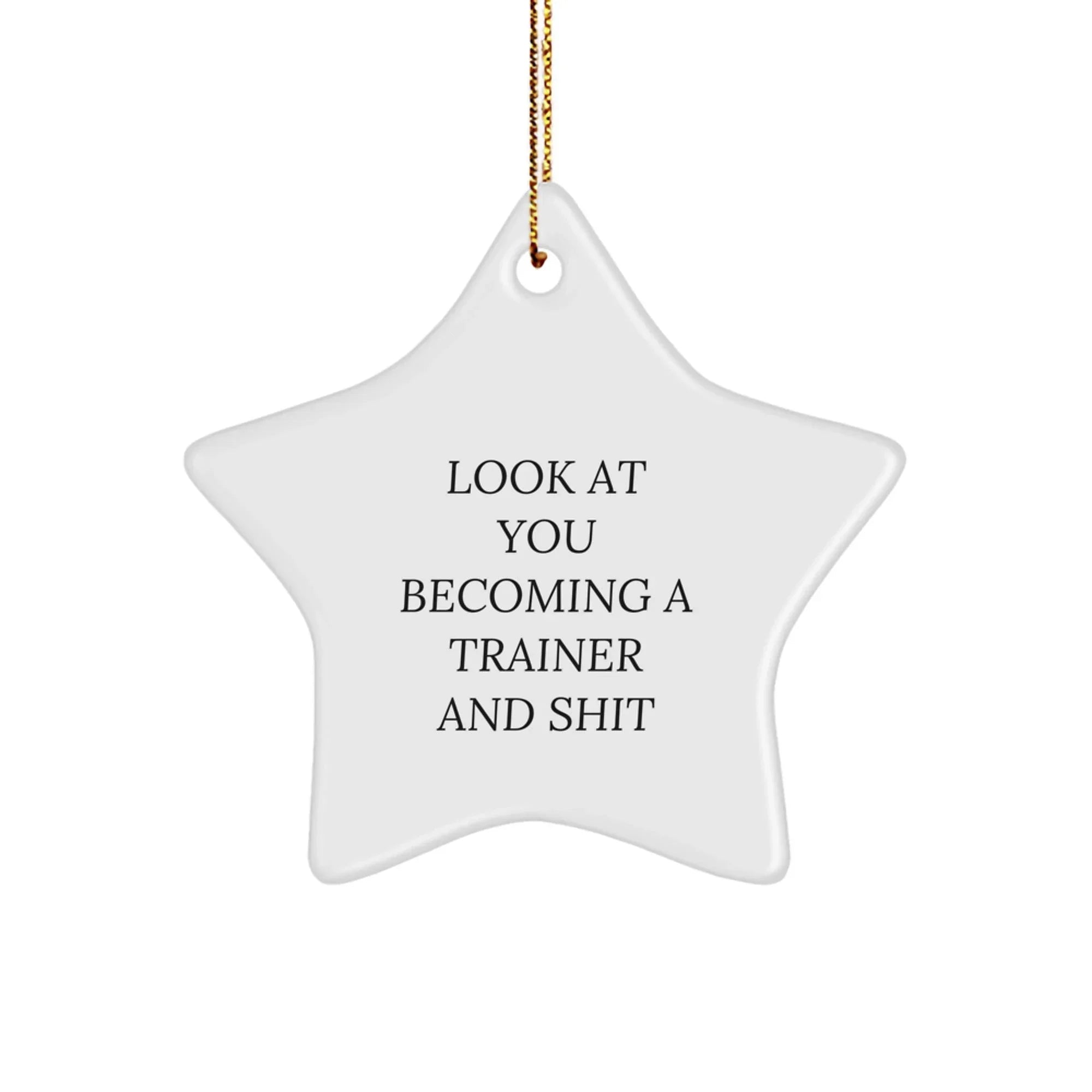 Funny Trainer Gifts from Friends for Christmas - Star Ornament with Quote 'Look At You Becoming A Trainer And Shit' for Men or Women