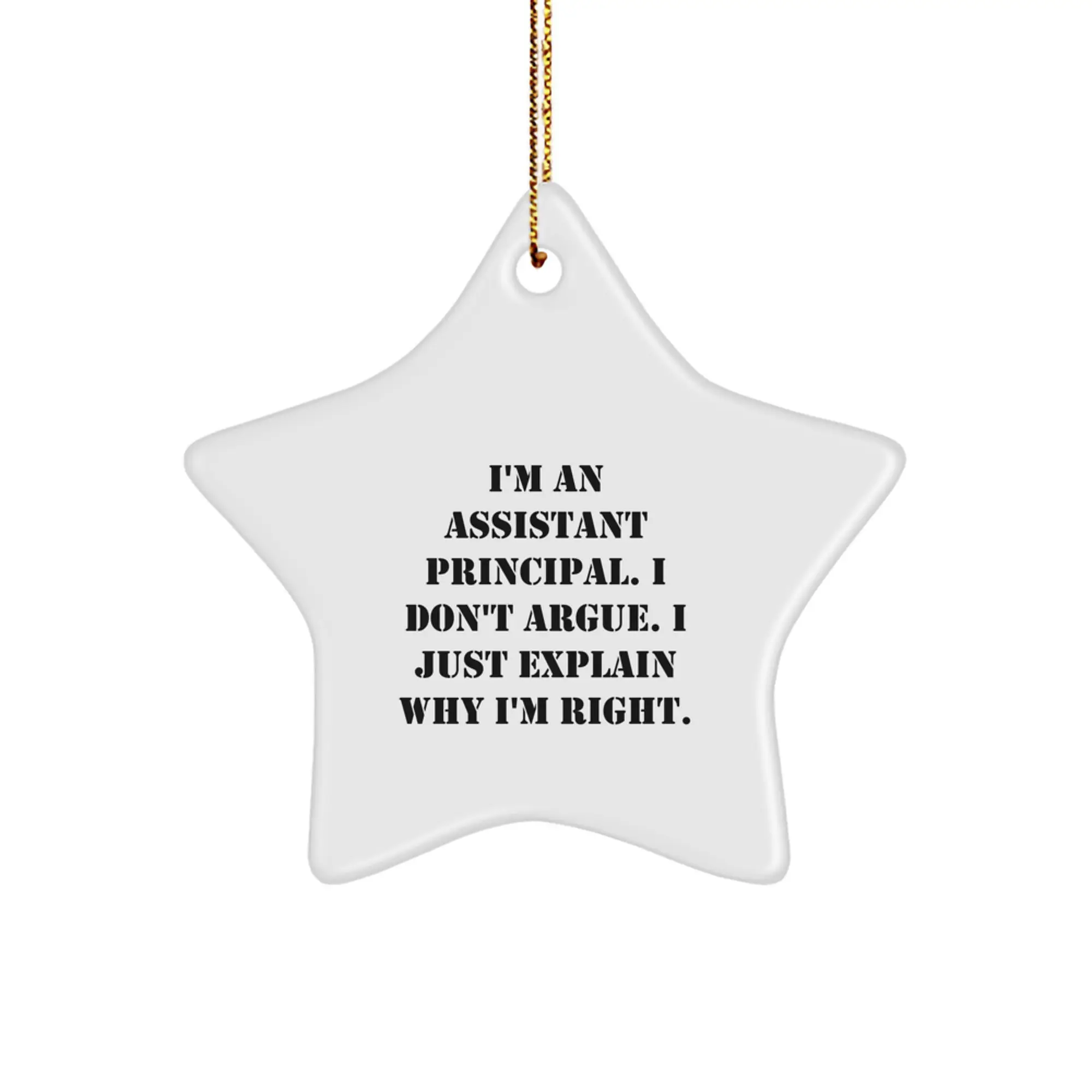 Funny Assistant Principal Gifts from Men for Assistant Principals Star Ornament Christmas Unique Presents - Image 1