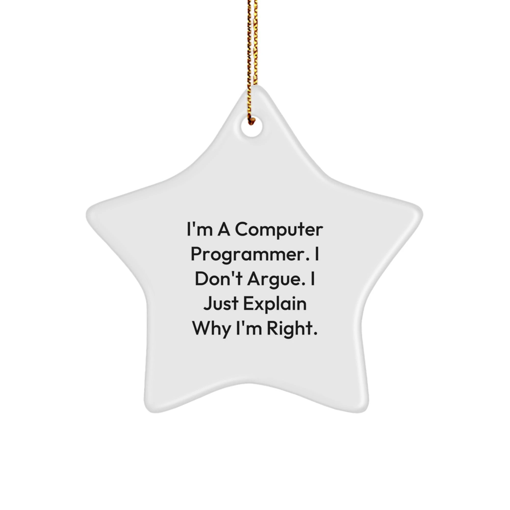 Funny Computer Programmer Star Ornament Gift for Him, Quotes from a Programmer, Christmas Unique Gifts from Friends