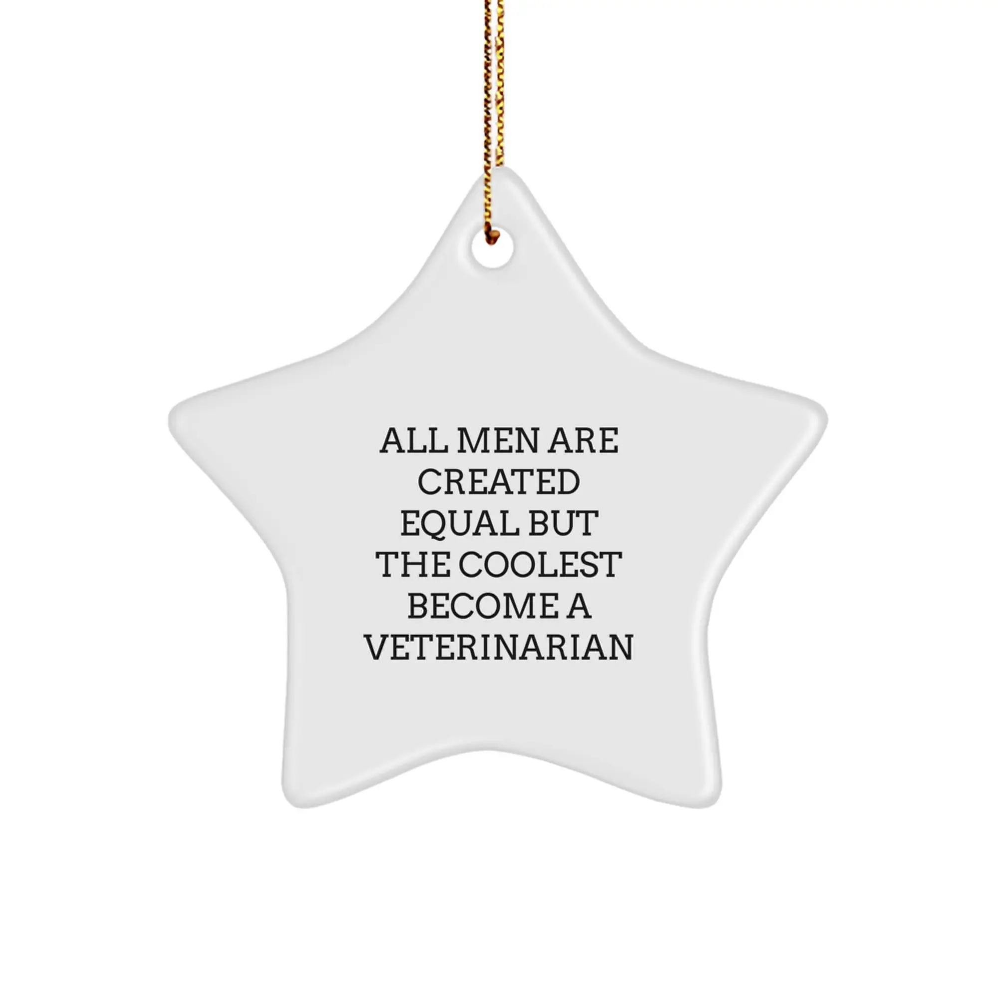 Veterinarian Star Ornament Collectible for Neighbors Christmas Gift - Image 1