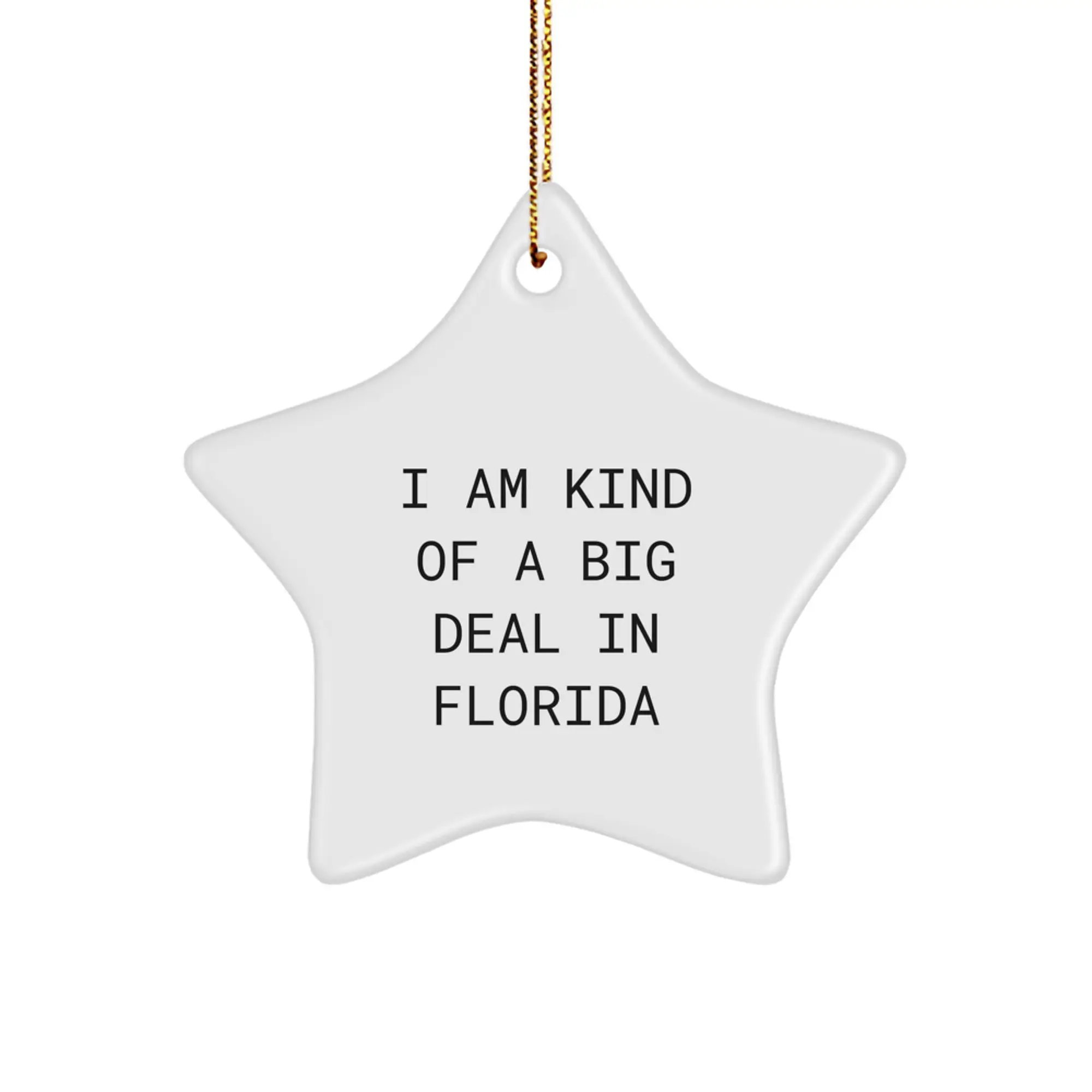 Florida Star Ornament for a Colleague Companion Christmas Gift - Image 1