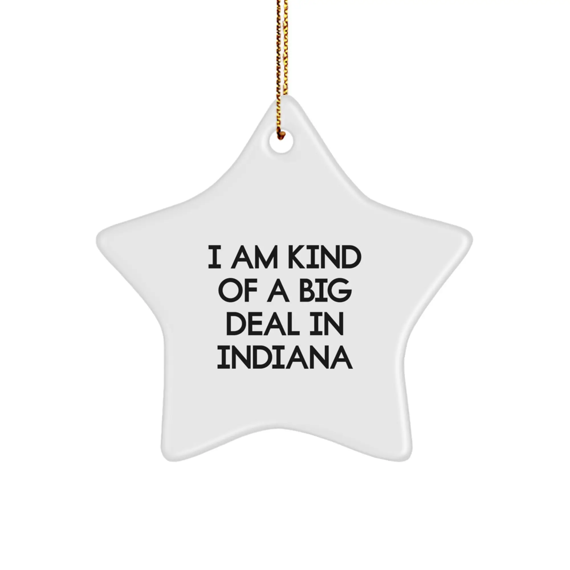Funny Indiana Star Ornament Gifts from Friends and Family, Perfect Christmas Unique Gifts for Indiana Men, Women, and Kids - I Am Kind Of A Prime Selection In Indiana - Image 1