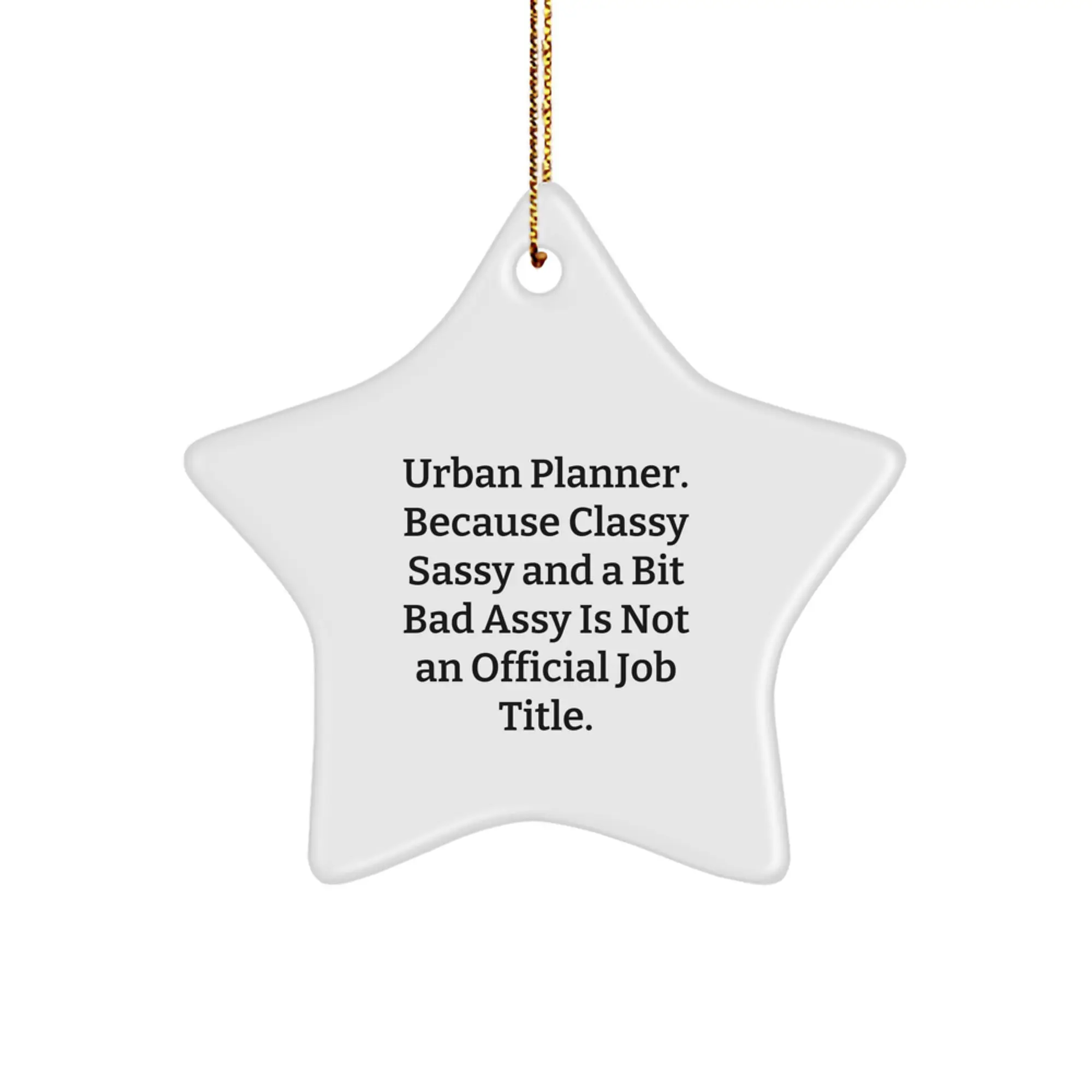 Funny Urban Planner Gifts from Friends, Unique Star Ornament Christmas Memorable Present, Planners Love this Quirky Office Decoration - Image 1