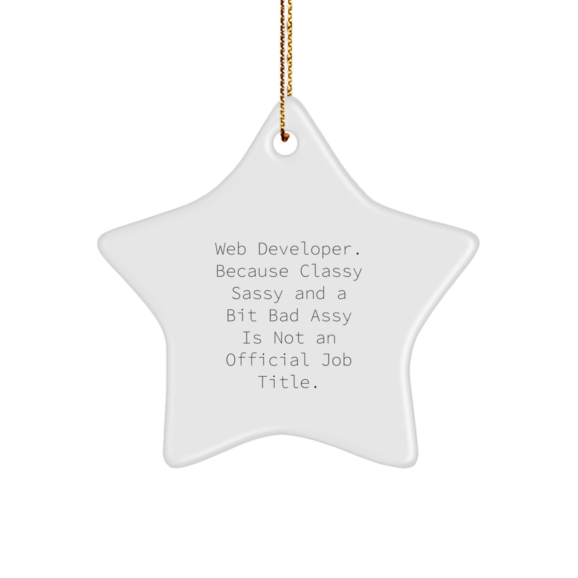 Unique Star Ornament for Web Developer Friends, Funny Quote Gifts from Friends to Web Developer Men on Christmas - Image 1