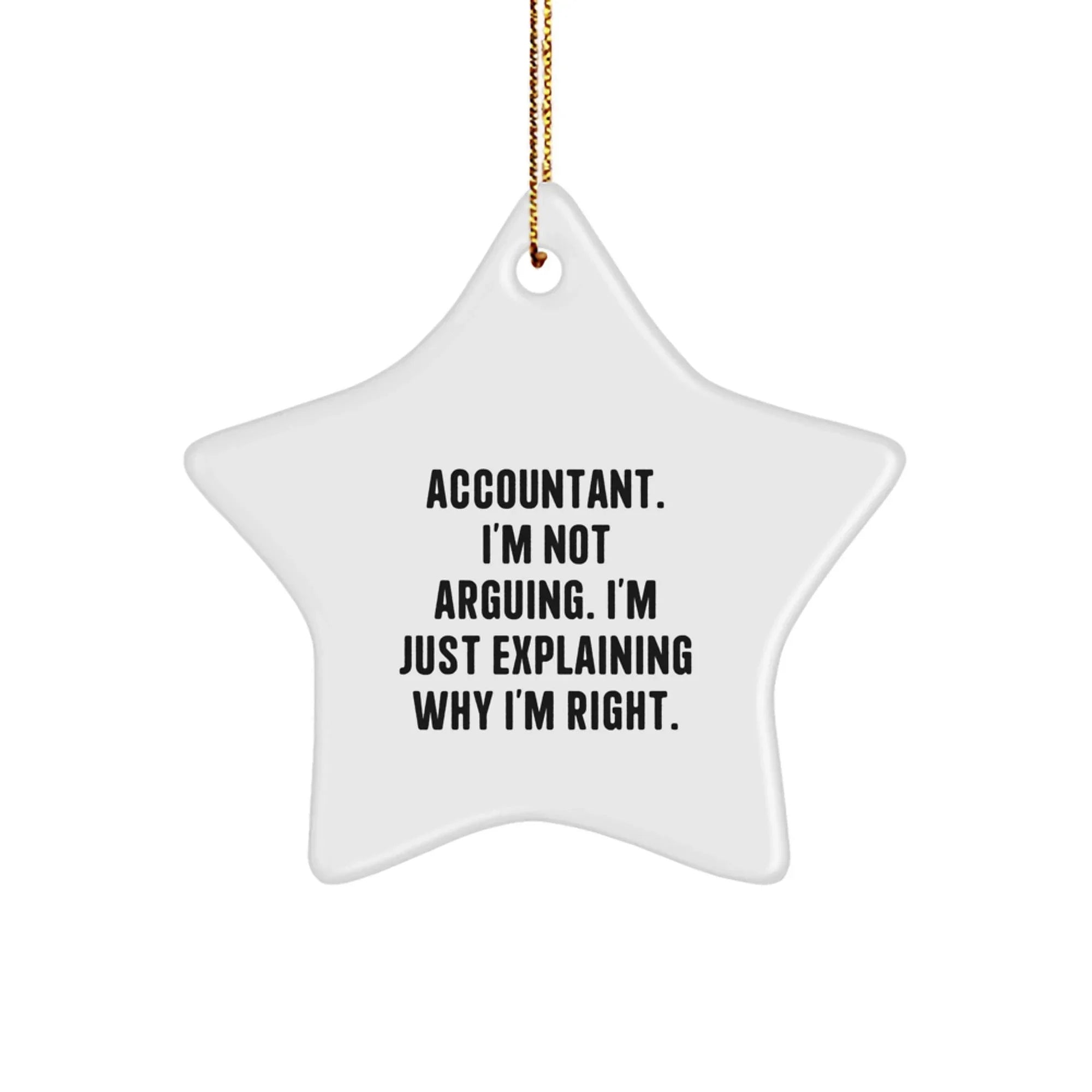 Funny Accountant Gifts from Men, Unique Star Ornament for Accountant, Christmas Decorations - 'I'm Not Arguing. I'm Just Explaining Why I'm Right.'