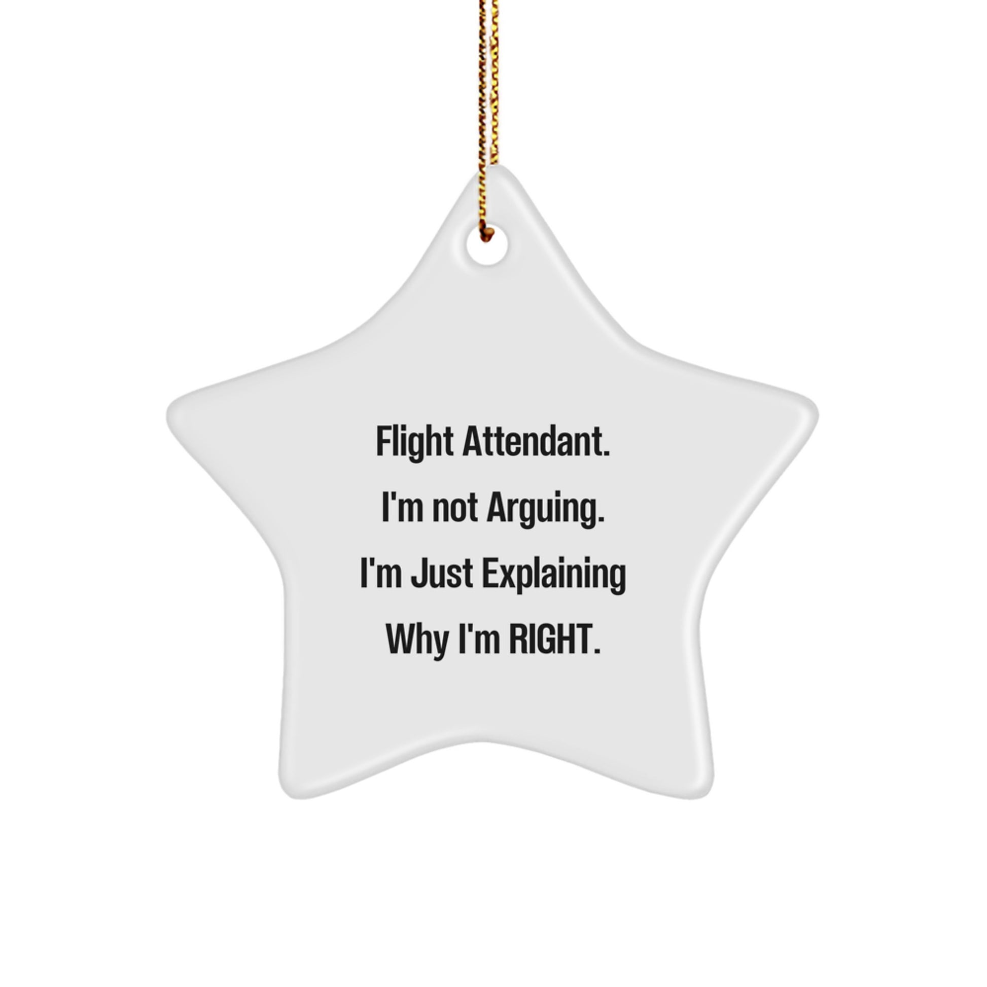 Funny Flight Attendant Gifts from Friends and Family - Christmas Star Ornament with Inspirational Quote - Flight Attendant Humor - Image 1