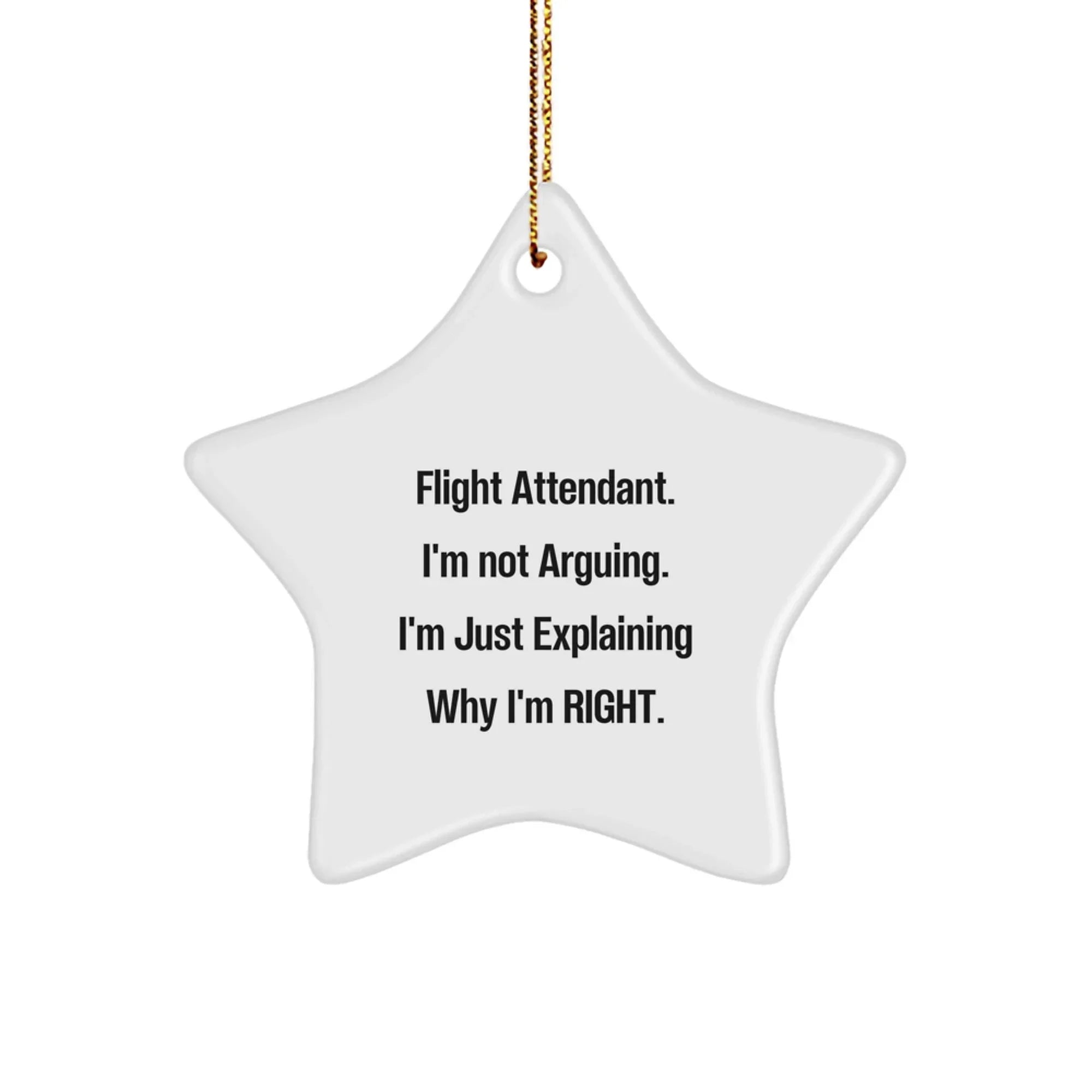 Funny Flight Attendant Gifts from Friends and Family - Christmas Star Ornament with Inspirational Quote - Flight Attendant Humor