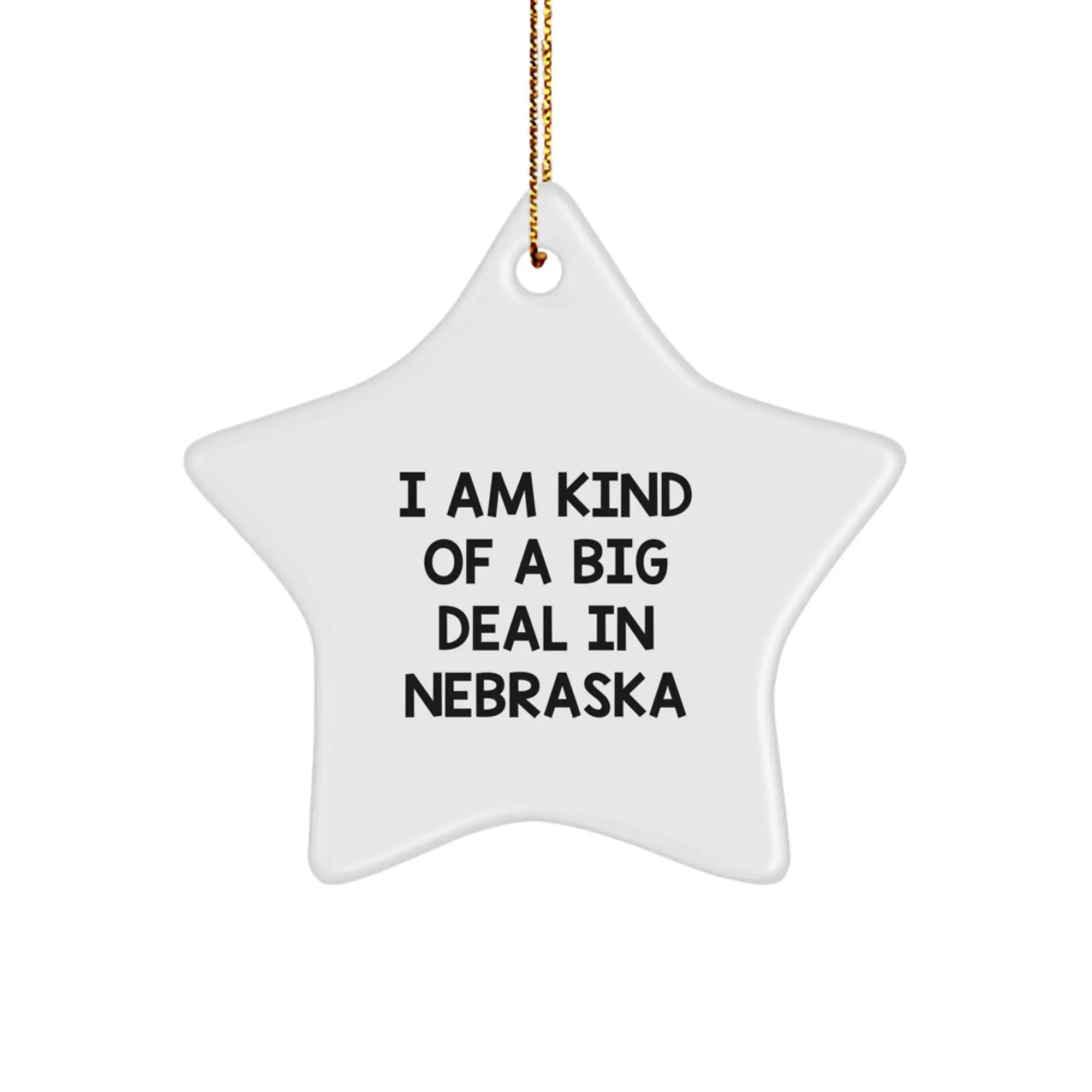 Nebraska Star Ornament, Funny Quote, Gifts from Friends to Family, Christmas Unique Decorations, I Am Kind Of A Prime Selection In Nebraska - Image 1