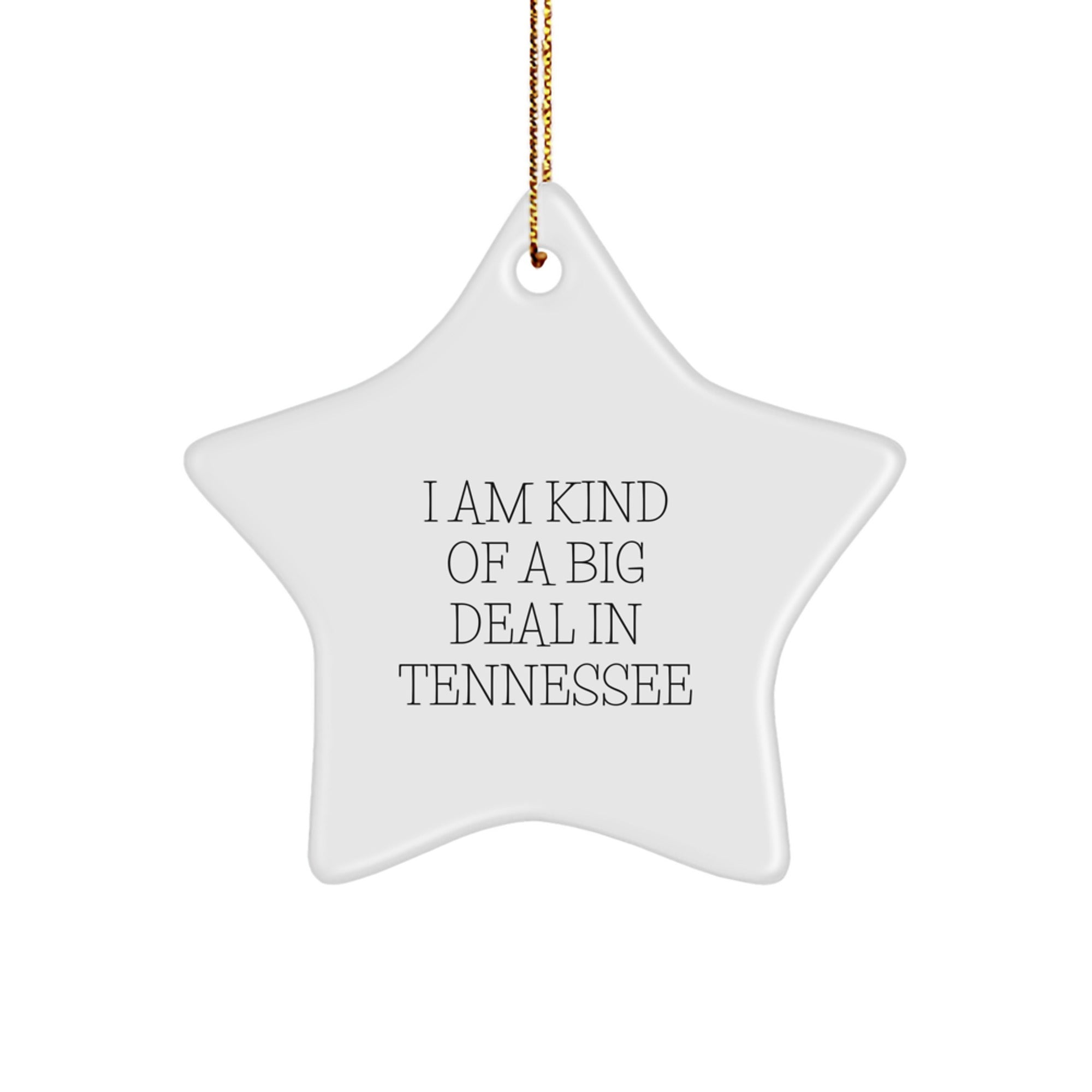 Sarcastic Christmas Ornament Gift for Friends, Tennessee Quote Star - Image 1