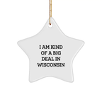 Funny Wisconsin Star Ornament Gifts from Men to Friends and Family for Christmas - I'm Kind Of A Prime Selection In Wisconsin Star Shaped Decoration - Image 1