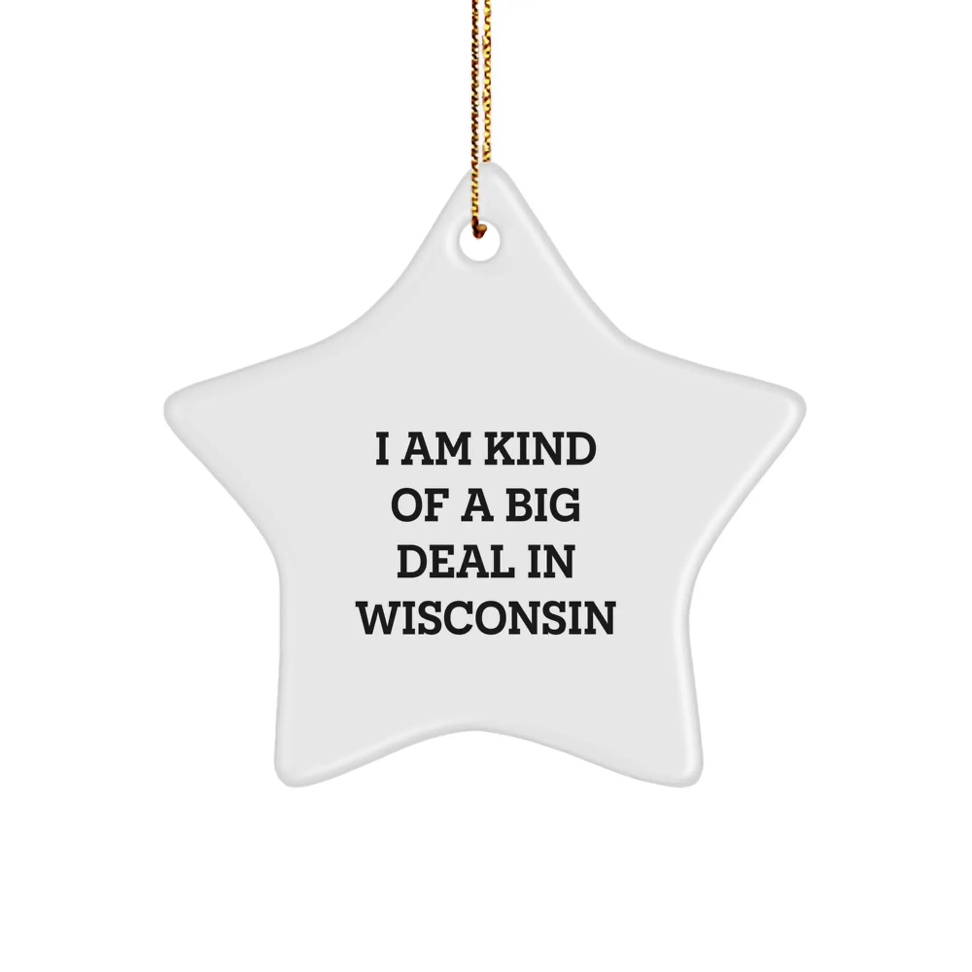 Funny Wisconsin Star Ornament Gifts from Men to Friends and Family for Christmas - I'm Kind Of A Prime Selection In Wisconsin Star Shaped Decoration - Image 1