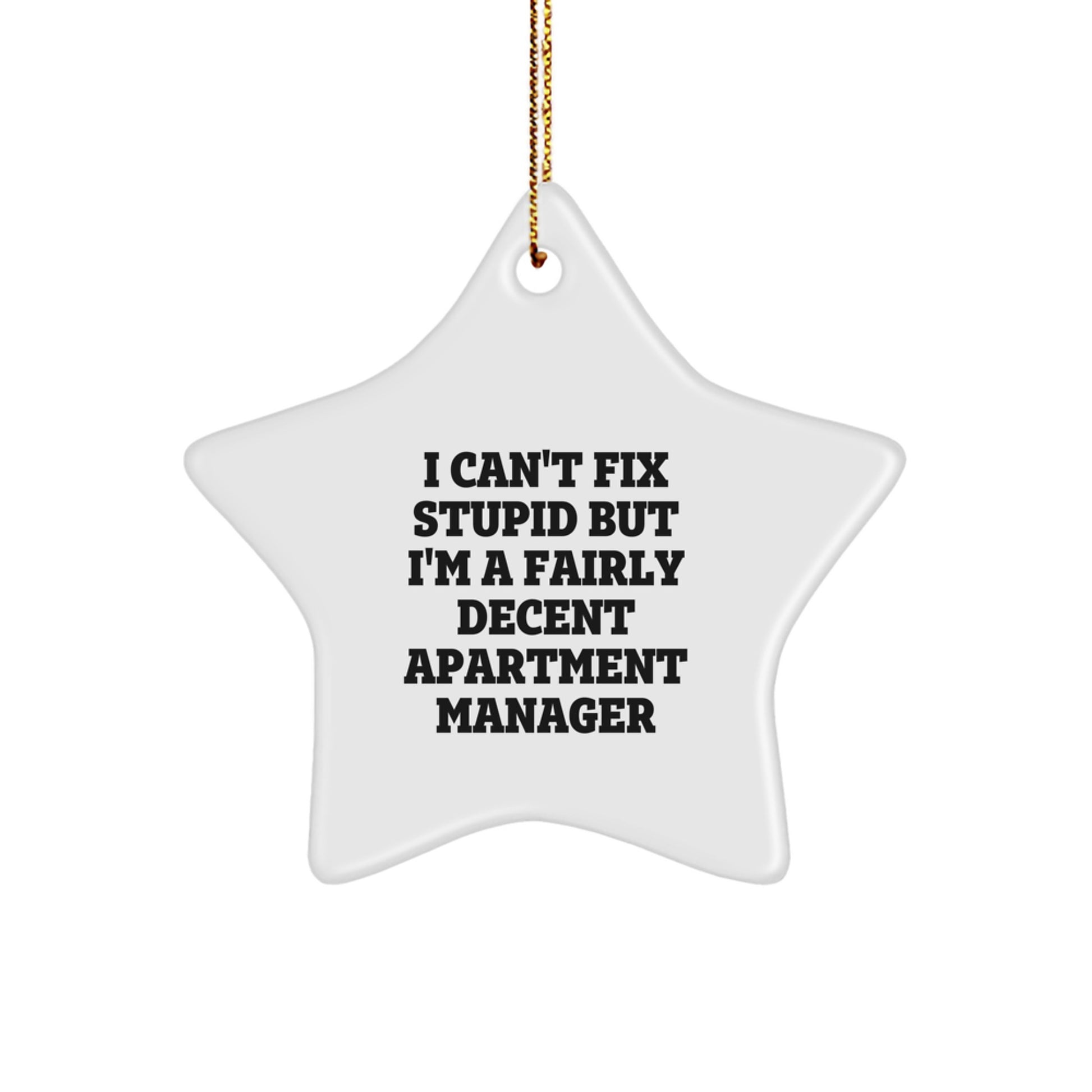 Funny Apartment Manager Star Ornament Gifts from Friends, for Apartment Manager, Christmas Unique Gifts - Image 1