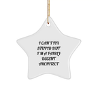 Funny Architect Star Ornament, Gifts from Friends for Architect Christmas Unique Gifts, 'I Can't Fix Stupid But I'm A Fairly Decent Architect' - Image 1