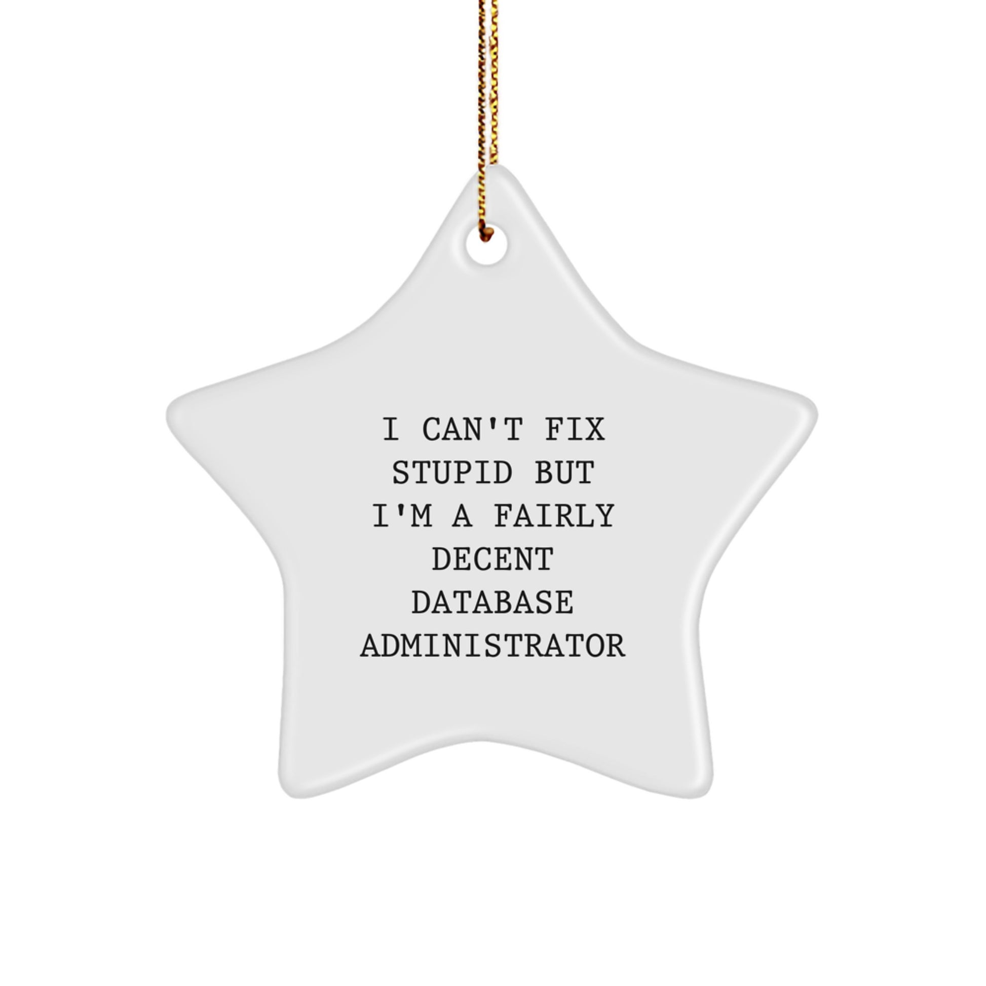 Funny Gift for Database Administrator Friends Christmas Star Ornament - 'I Can't Fix Stupid But I'm A Fairly Decent Database Administrator' - Unique Gifts for Men Women Coworkers - Image 1