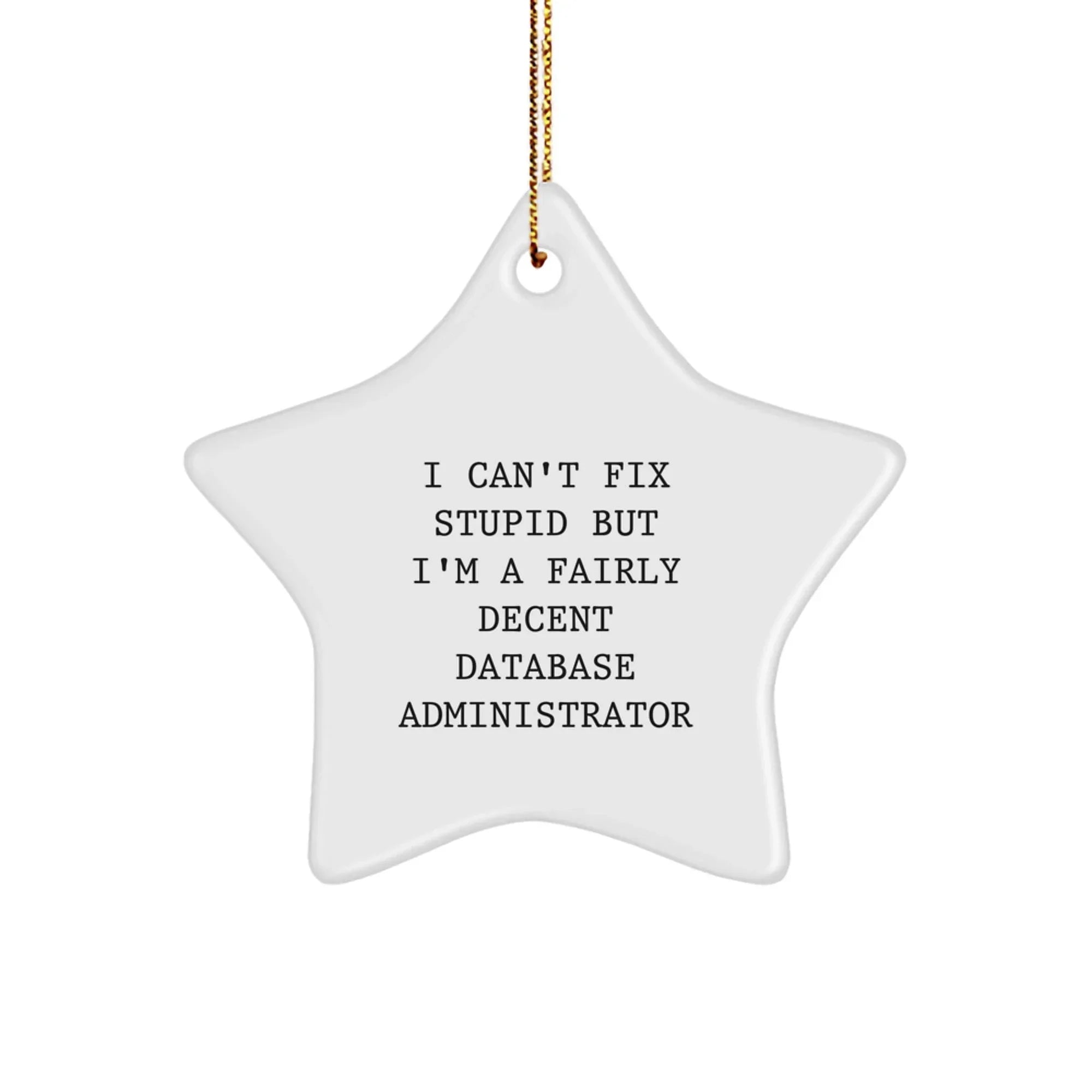 Funny Gift for Database Administrator Friends Christmas Star Ornament - 'I Can't Fix Stupid But I'm A Fairly Decent Database Administrator' - Unique Gifts for Men Women Coworkers