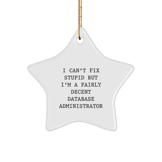 Funny Gift for Database Administrator Friends Christmas Star Ornament - 'I Can't Fix Stupid But I'm A Fairly Decent Database Administrator' - Unique Gifts for Men Women Coworkers - Image 1
