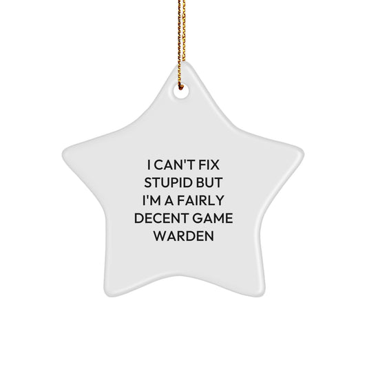 Funny Game Warden Christmas Unique Gifts from Friends for Men - I Can't Fix Stupid Star Ornament, Game Warden Star Decoration - Image 1