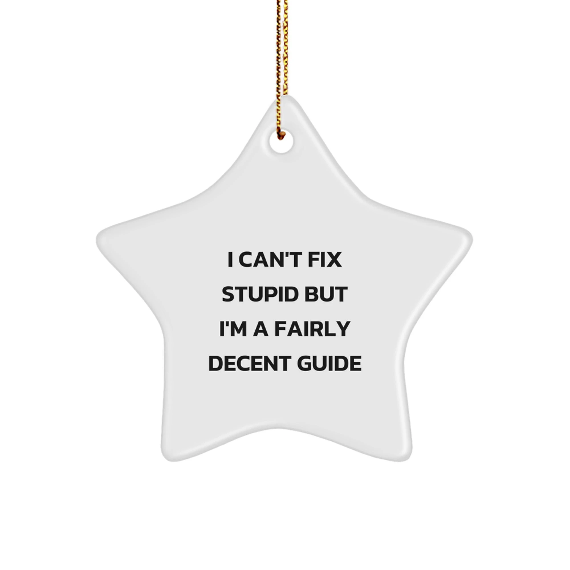 Funny Guide Gifts from Men, Women, Friends, and Family - 'I Can't Fix Stupid But I'm A Fairly Decent Guide' Star Ornament for Guide Enthusiasts and Christmas Unique Gifts