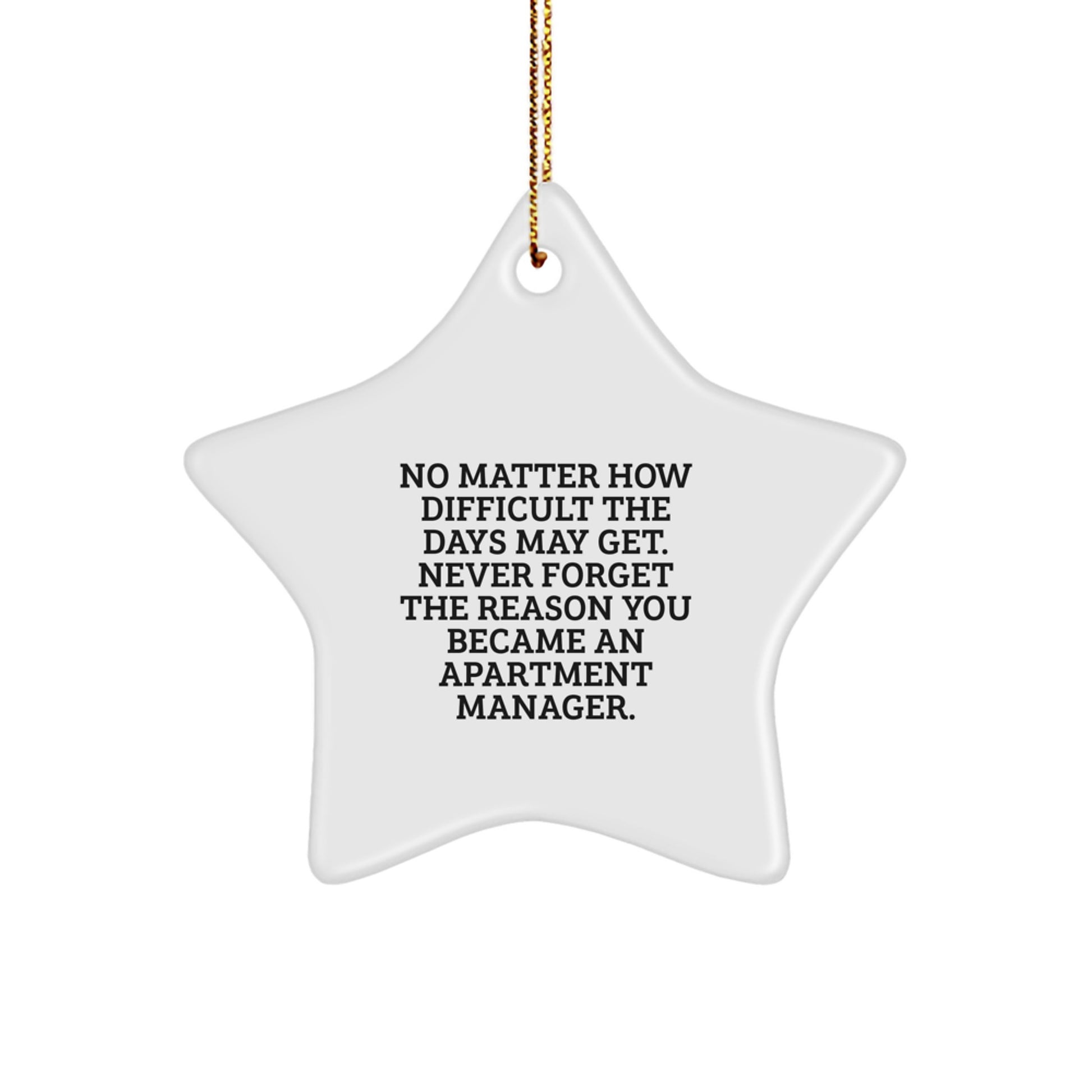 Funny Star Ornament Gifts from Friends to Apartment Manager, Christmas Unique Decorations, Never Forget Your Reason, Star Shaped Apartment Manager Gifts - Image 1