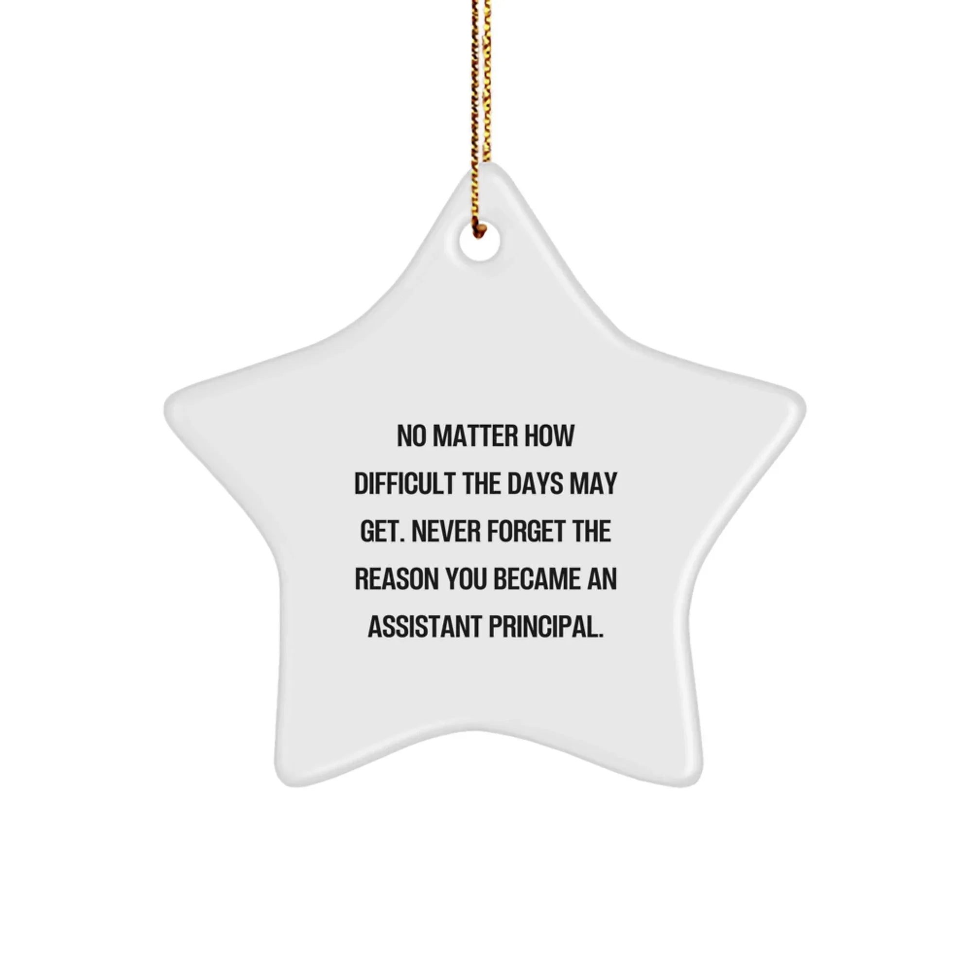 Funny Inspirational Assistant Principal Star Ornament Gifts from Men to Gifts for Assistant Principal Friends - Never Forget The Reason You Became An Assistant Principal.