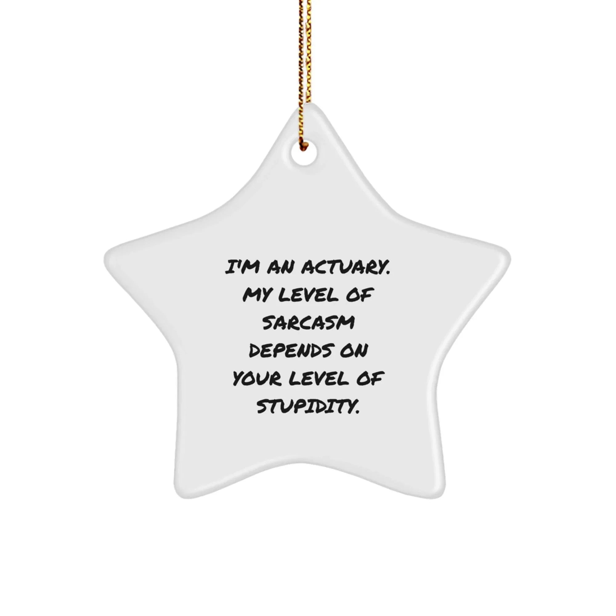 Funny Actuary Gifts for Men Christmas Unique Star Ornament from Colleagues, Actuary Star Ornament for Friends and Family, Sarcasm Level Gift