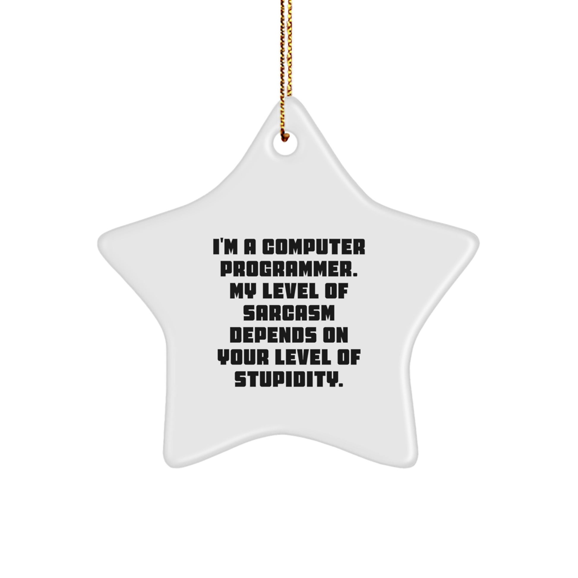 Funny Computer Programmer Star Ornament Gifts from Friends and Family for Christmas Unique Decorations - Image 1