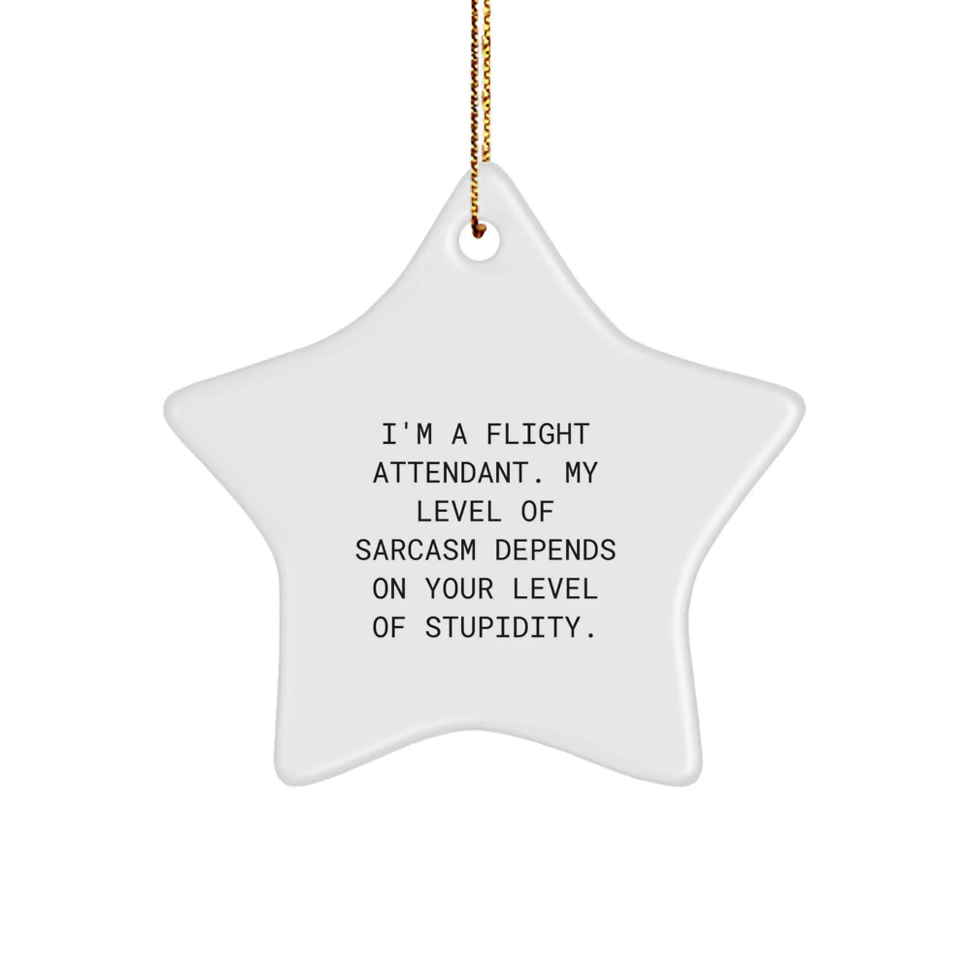 Funny Flight Attendant Gifts from Friends - Star Ornament for Christmas Unique Gifts for Men Women Coworkers Family - I'm A Flight Attendant Sarcasm Level Depends On Your Level Of Stupidity - Image 1