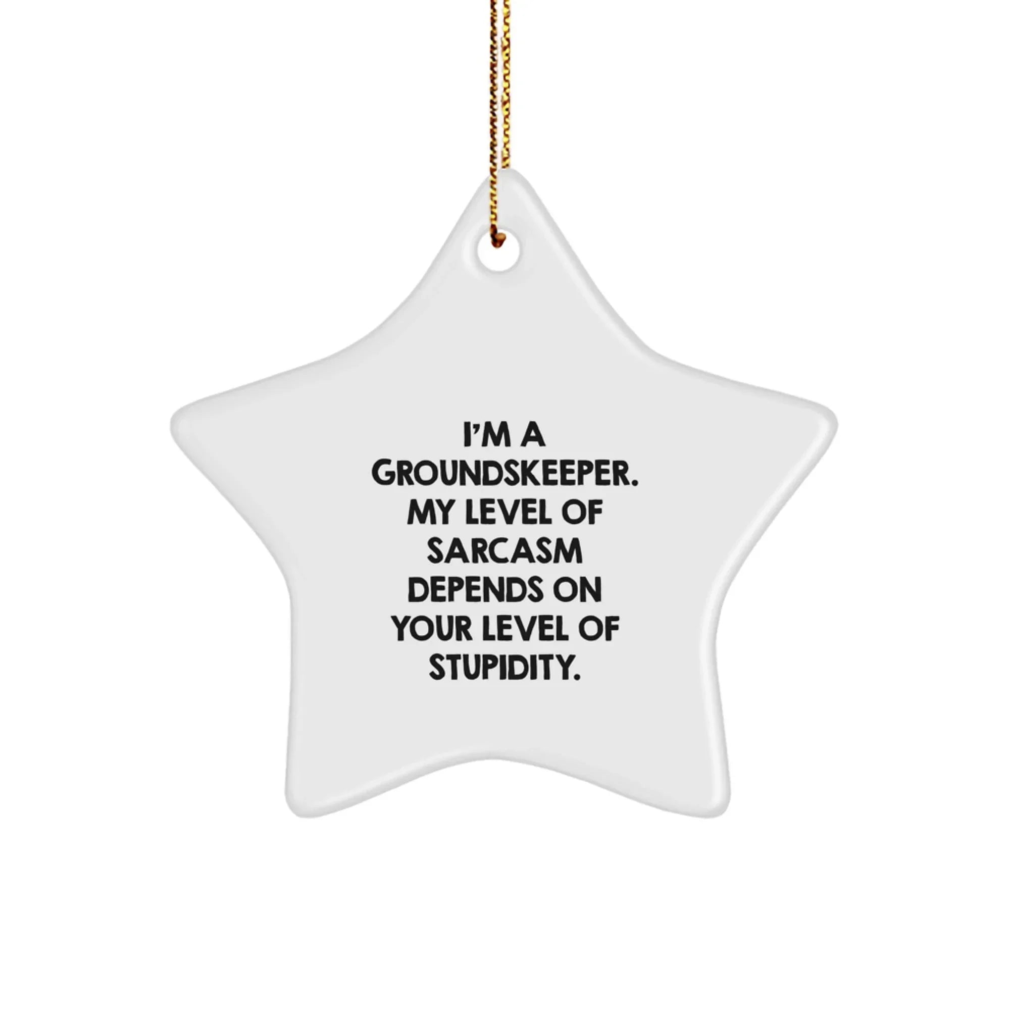 Funny groundskeeper Star Ornament Gifts from Friends for Christmas, Gift Ideas for groundskeepers, Sarcasm Level Depends on Stupidity, groundskeeper Men and Women Gifts, Christmas Unique Gifts