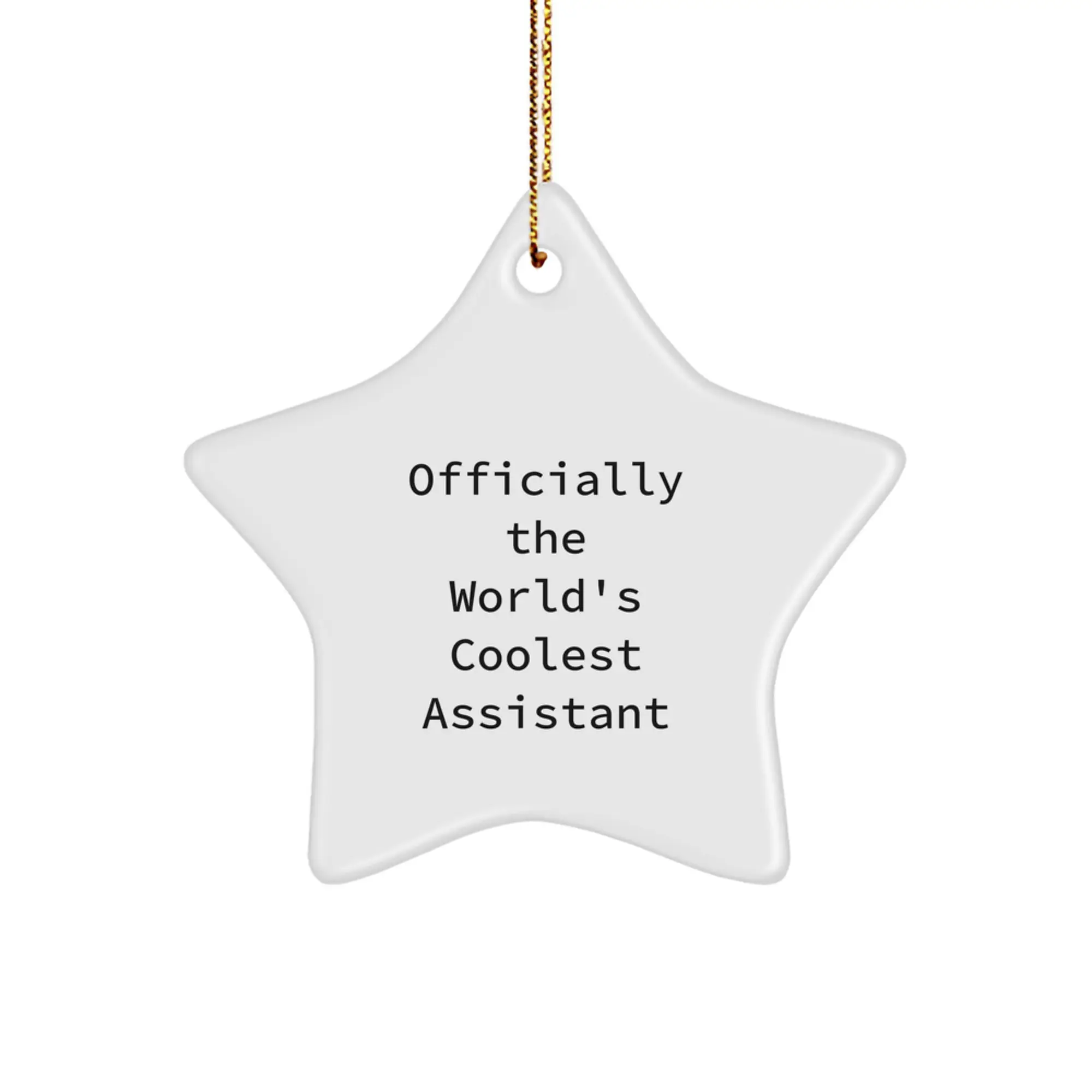 Funny Assistant Star Ornament Gifts from Men to Women Friends Coworkers Family - Officially The World's Coolest Assistant Star - Image 1