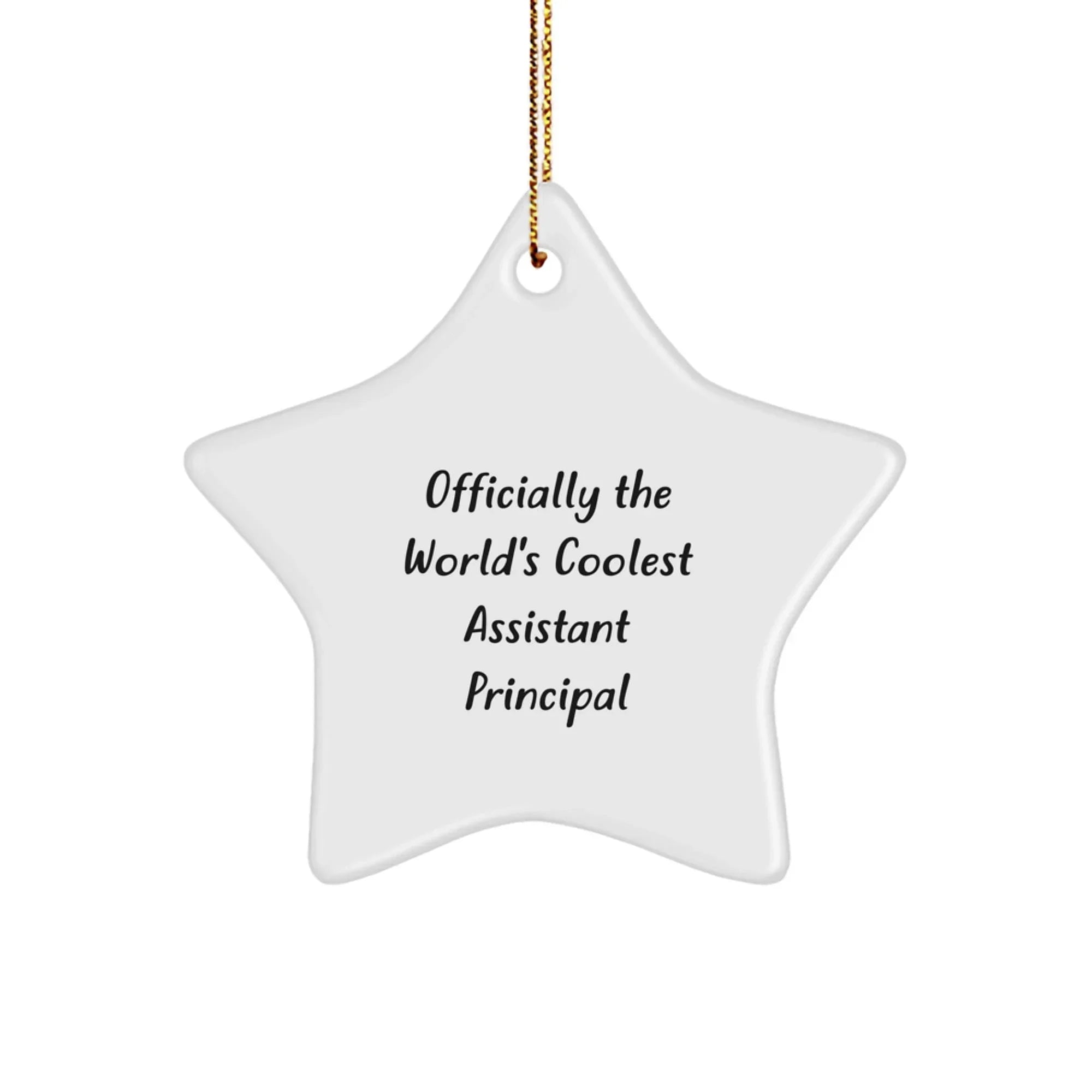 Funny Assistant Principal Gifts for Christmas, Officially The World's Coolest Star Ornament, Gifts from Friends and Family