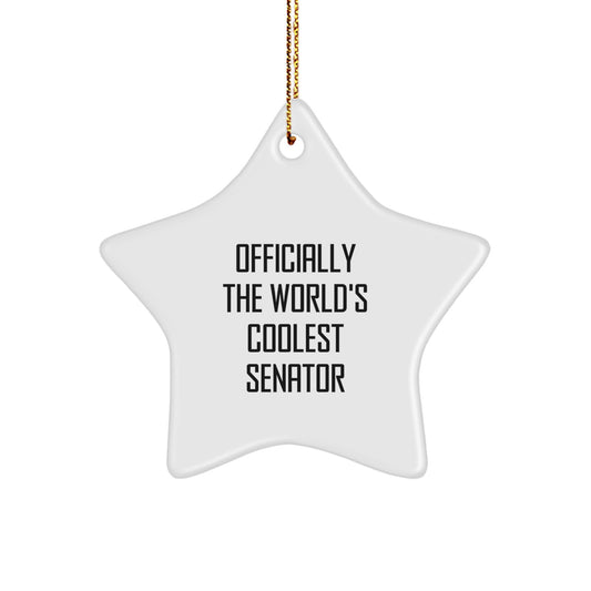 Funny Senator Star Ornament Gifts from Family or Friends with Quote Officially The World's Coolest Senator - Image 1