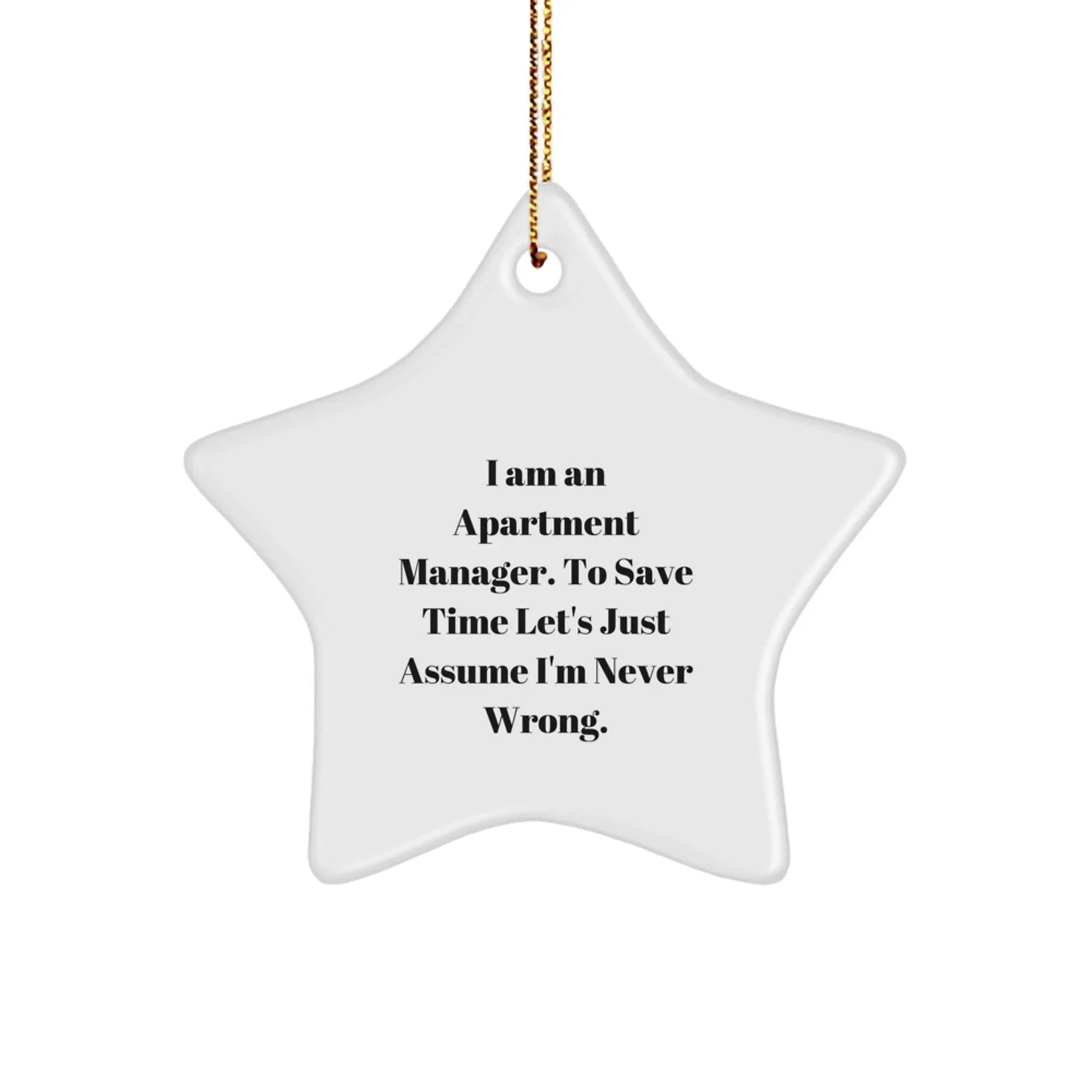 Funny Apartment Manager Christmas Unique Gifts from Friends - Star Ornament for Apartment Manager, Men, Women - Unique Star Shaped Gift for Apartment Manager on Christmas