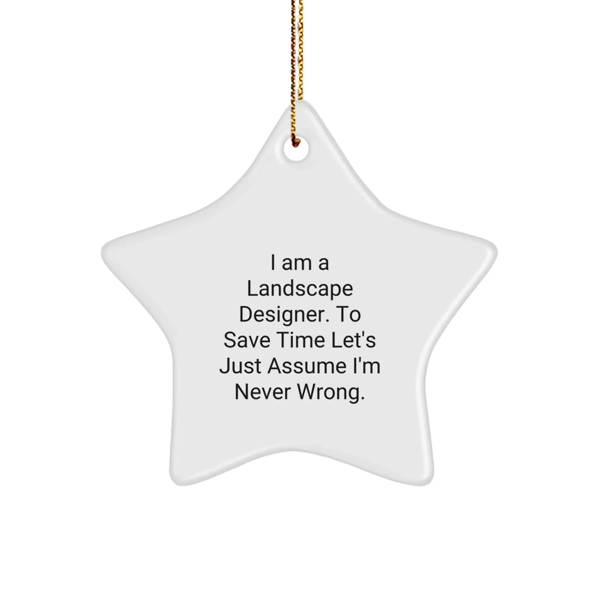 Funny Landscape Designer Gifts from Friends, Star Ornament for Christmas Unique Gifts, I 'm Never Wrong - White Star Shaped Decoration