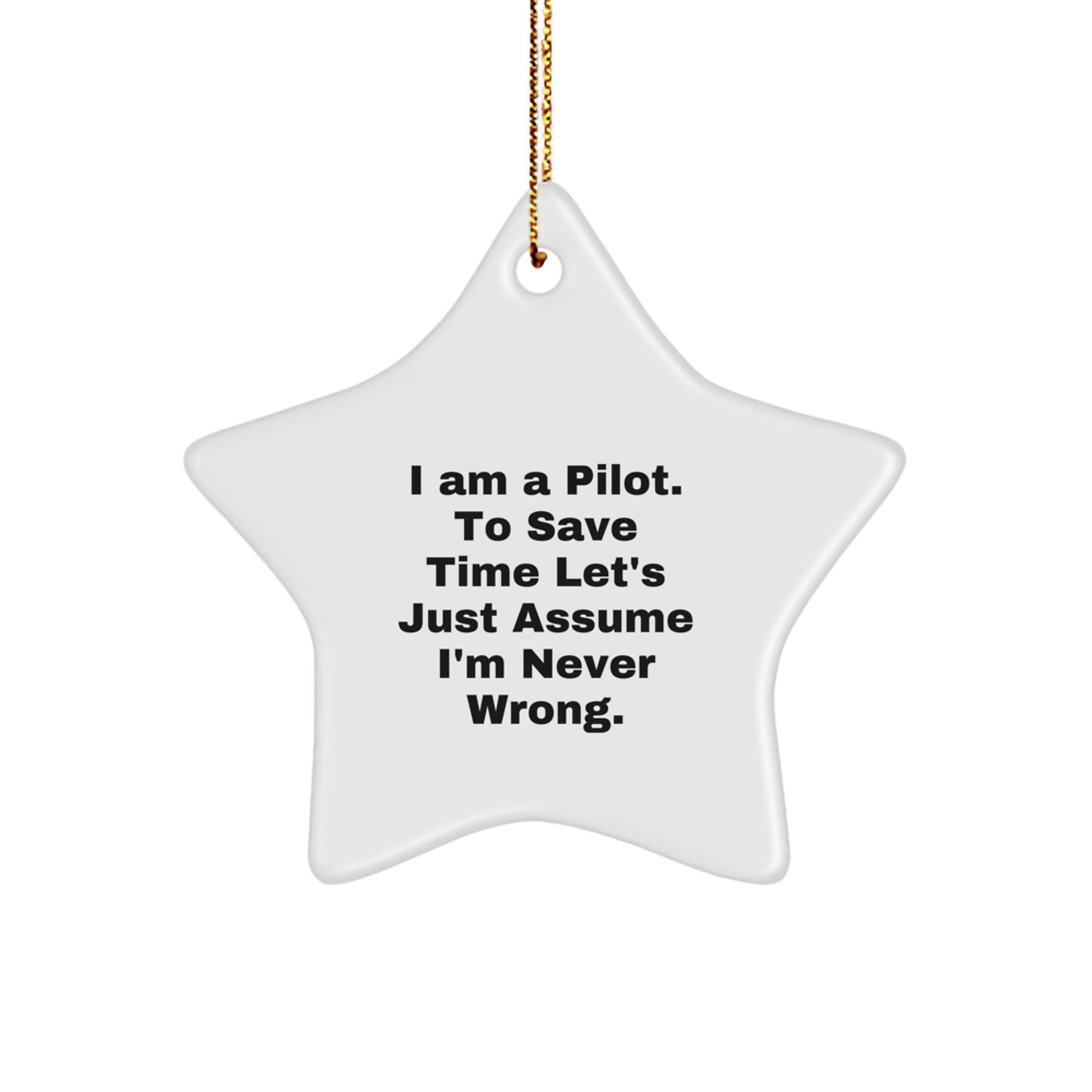 Funny Pilot Gifts from Friends for Men, Star Ornament Pilot Quote Funny, Christmas Unique Gifts for Pilot - Image 1