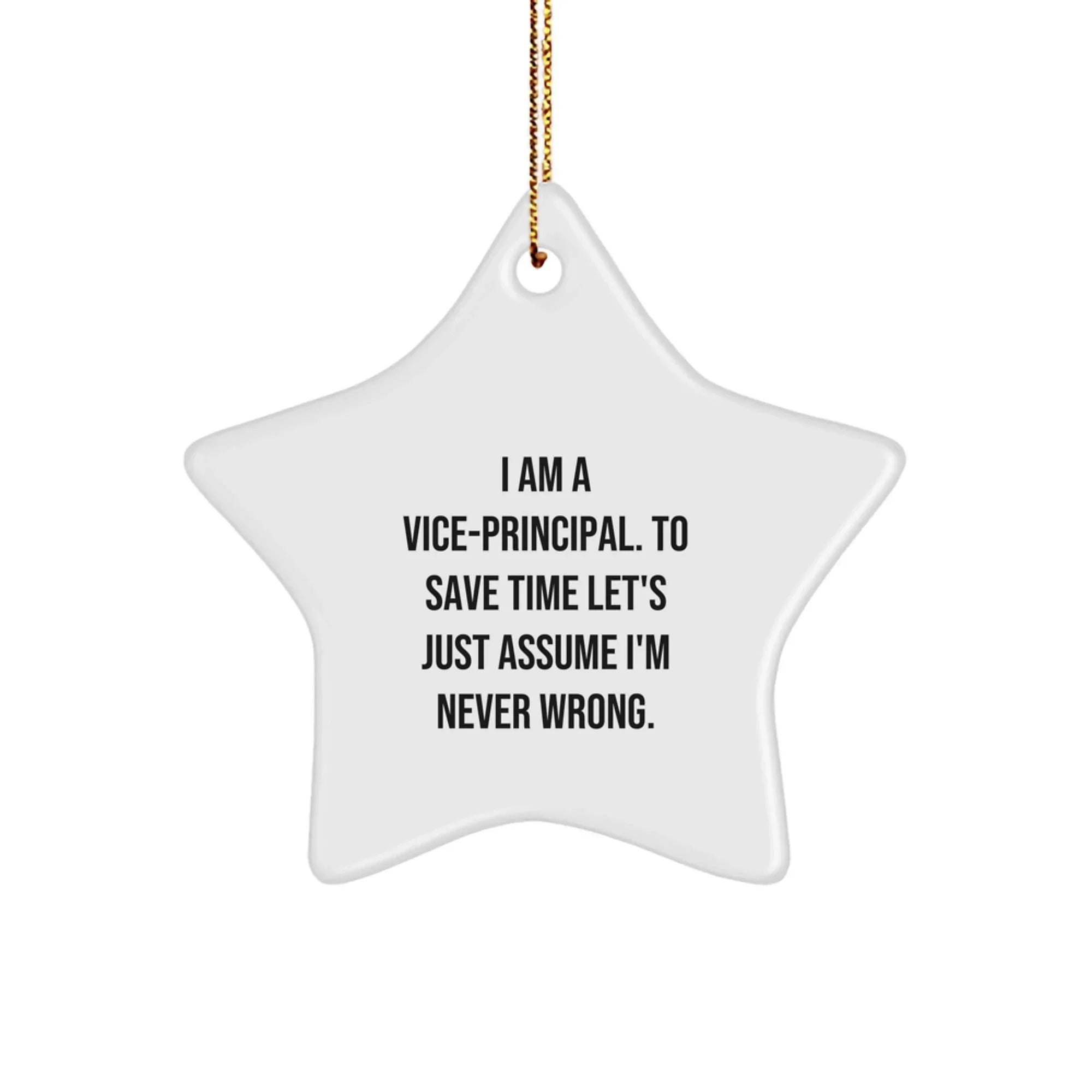 Funny Vice-principal Gifts for Men - Vice-principal Star Ornament, I Am Never Wrong Humor, Christmas Unique Gifts from Friends