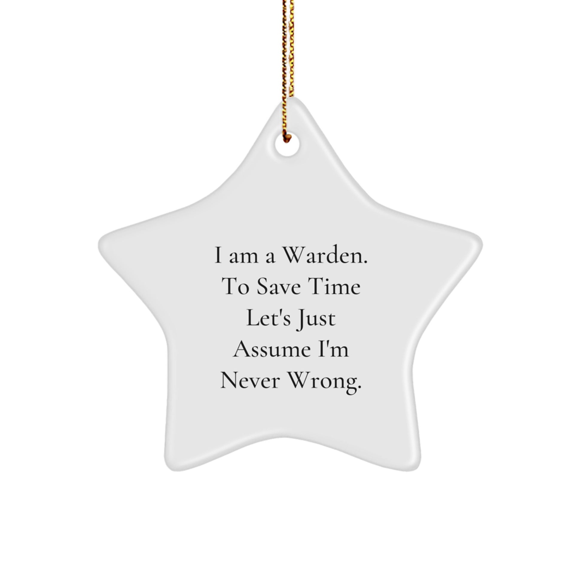Funny Warden Star Ornament Gifts from Men to Warden, Christmas Unique Decorations, Inspirational Quote - Image 1
