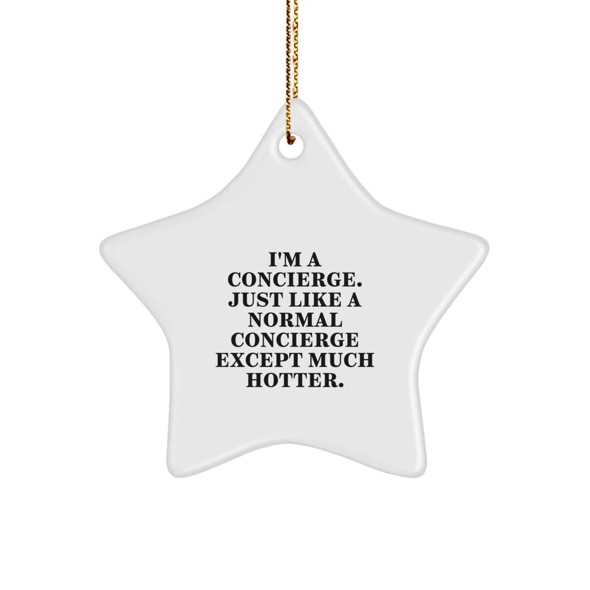 Funny Concierge Gifts from Men, Unique Christmas Star Ornament for Women, Friends, Coworkers, or Family Members - 'I'm A Concierge. Just Like A Normal Concierge Except Much Hotter.' - Image 1