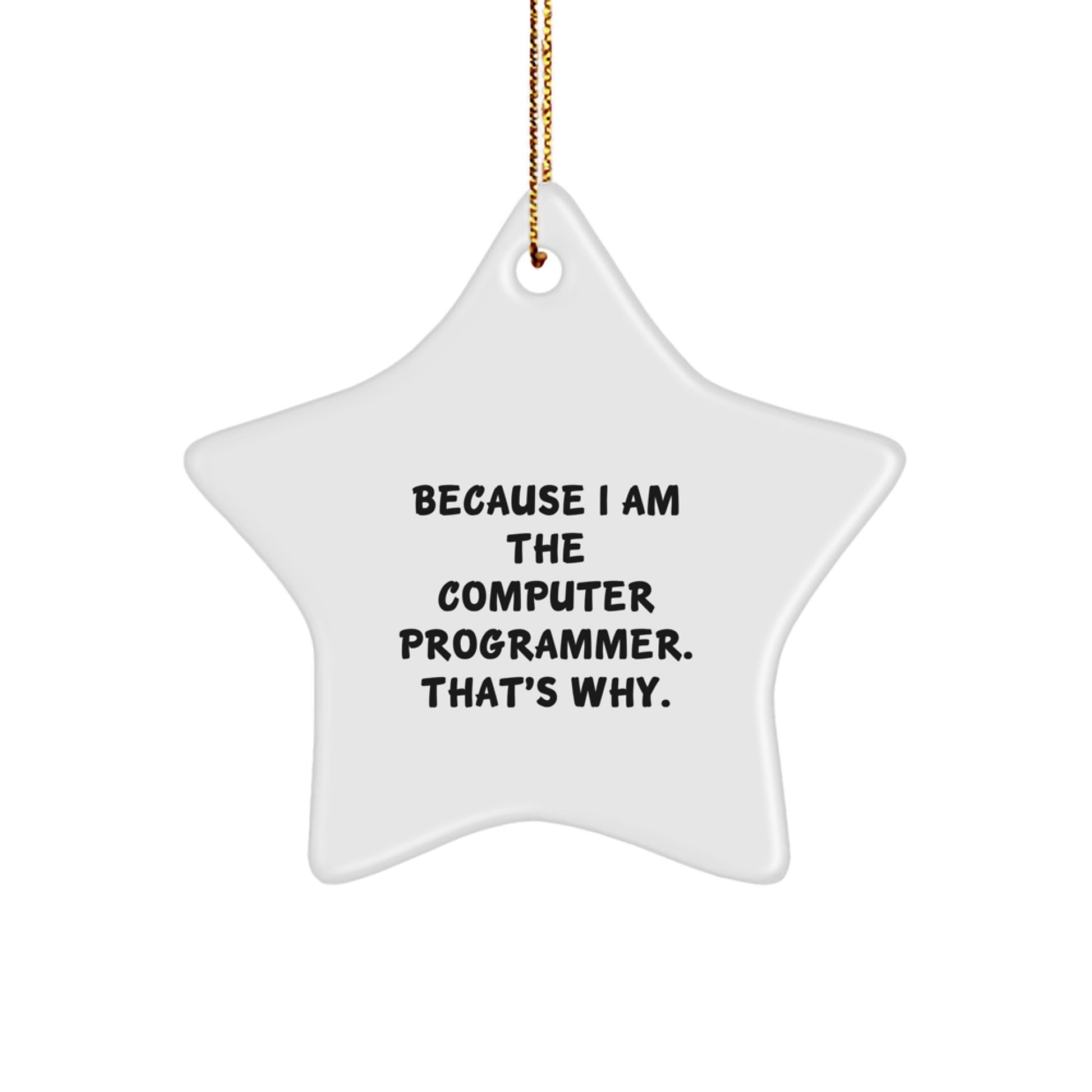 Funny Star Ornament, Computer Programmer Gifts, Gifts from Family for Computer Programmer, Because I Am The Computer Programmer. That's Why., Christmas Unique Gifts - Image 1