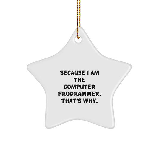 Funny Star Ornament, Computer Programmer Gifts, Gifts from Family for Computer Programmer, Because I Am The Computer Programmer. That's Why., Christmas Unique Gifts - Image 1