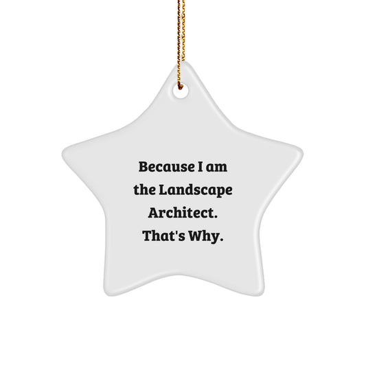 Landscape Architect Gifts from Friends, Funny Star Ornament with Quote Because I Am The Landscape Architect. That's Why., Christmas Unique Gifts for Landscape Architects - Image 1