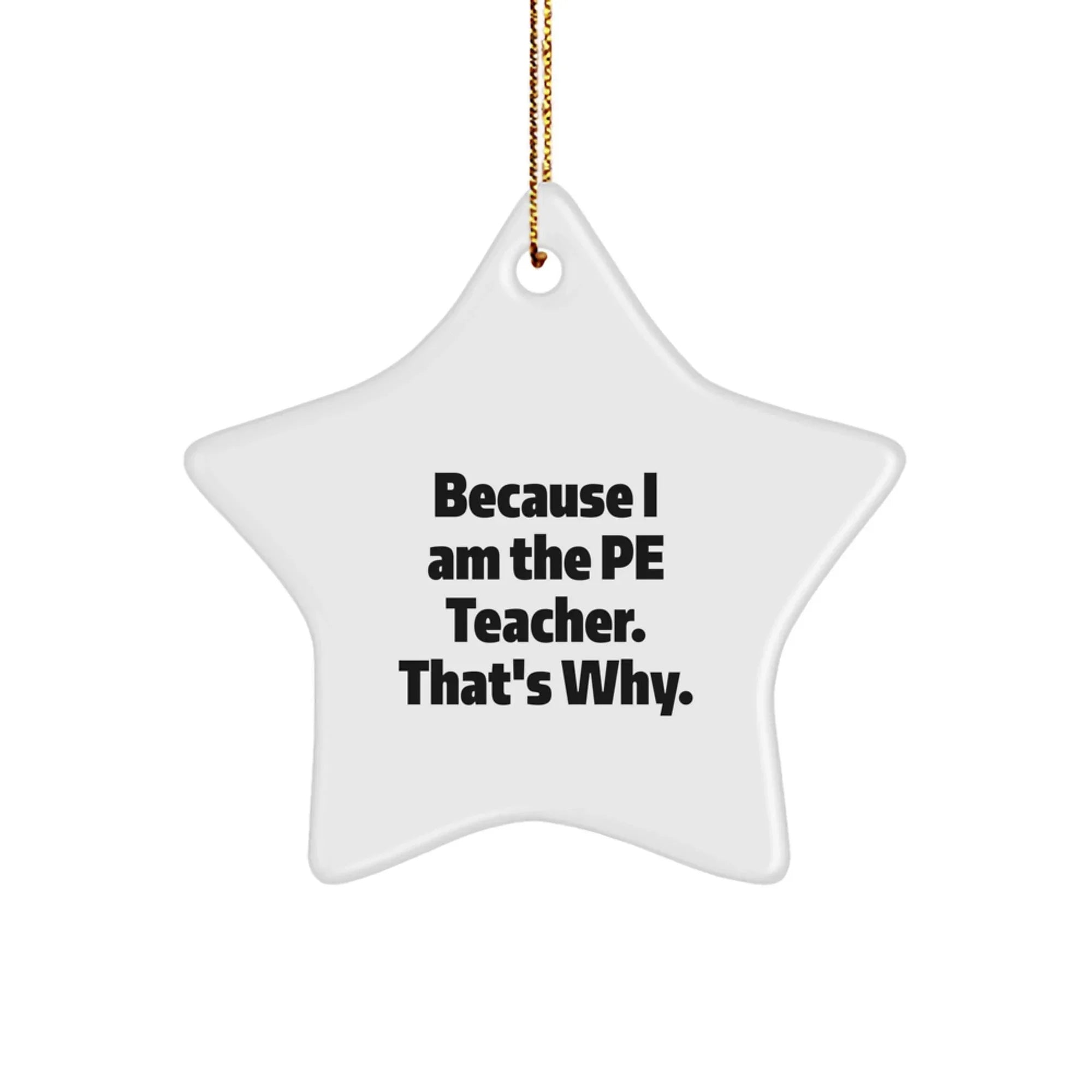 Funny PE Teacher Gifts - Because I Am The PE Teacher. That's Why. - Star Ornament for Christmas Unique Gifts from Friends to PE Teachers
