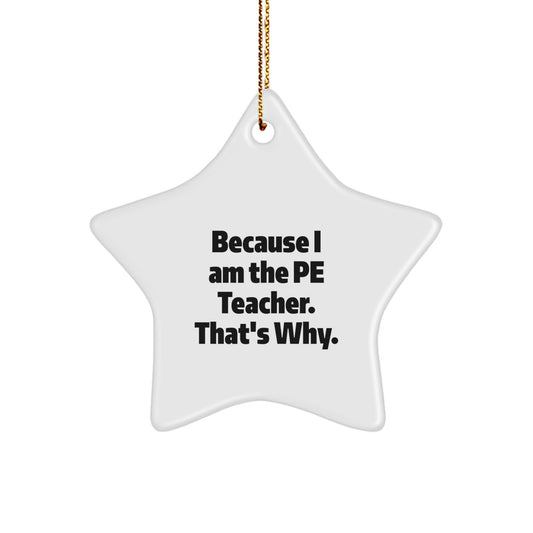 Funny PE Teacher Gifts - Because I Am The PE Teacher. That's Why. - Star Ornament for Christmas Unique Gifts from Friends to PE Teachers - Image 1