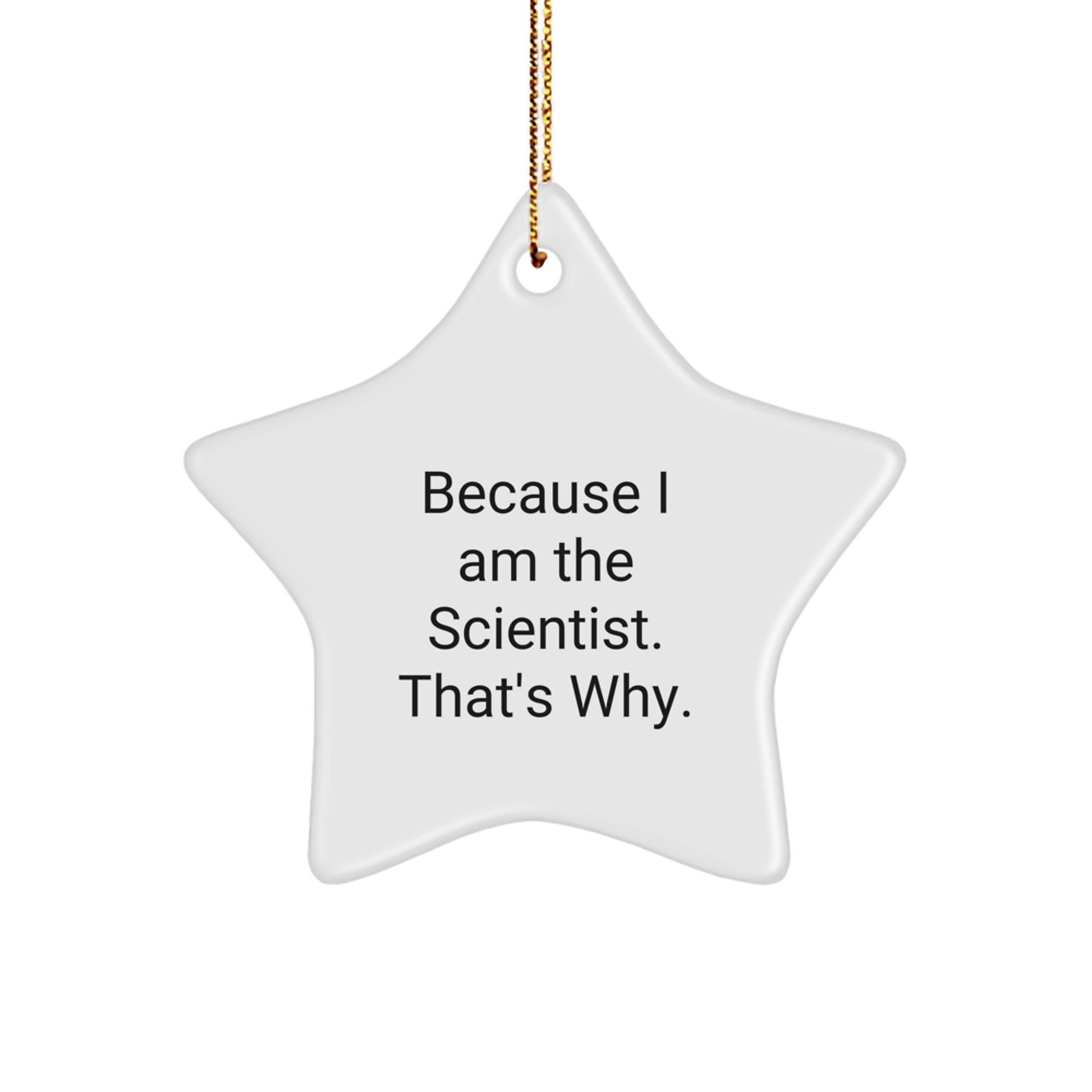 Funny Scientist Gifts: Because I Am The Scientist. That's Why. Star Ornament for Christmas Memorable Presents from Family to Friends - Image 1